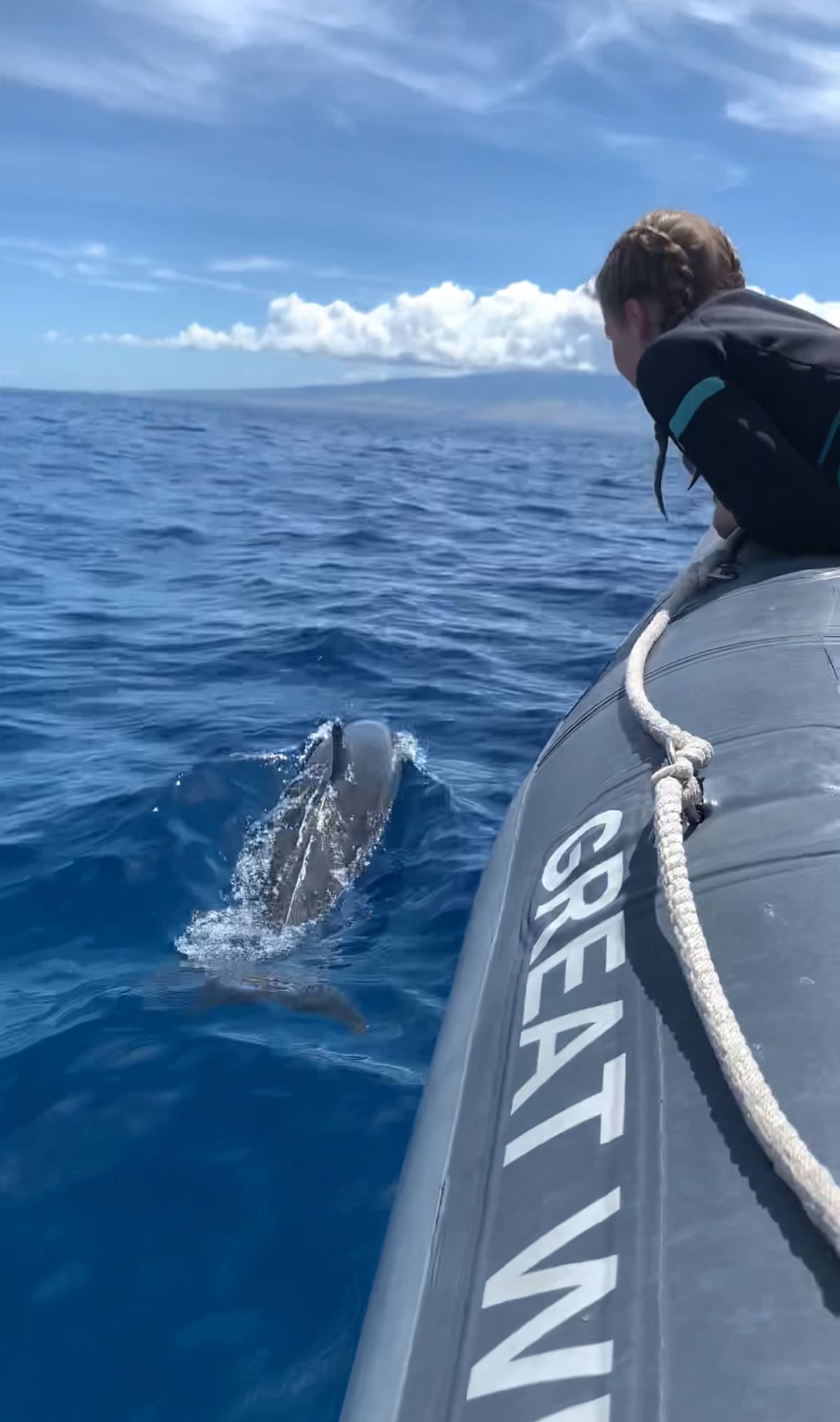 2 Hour Eye-Level Dolphin Watch Sightsee Eco-Raft Tour