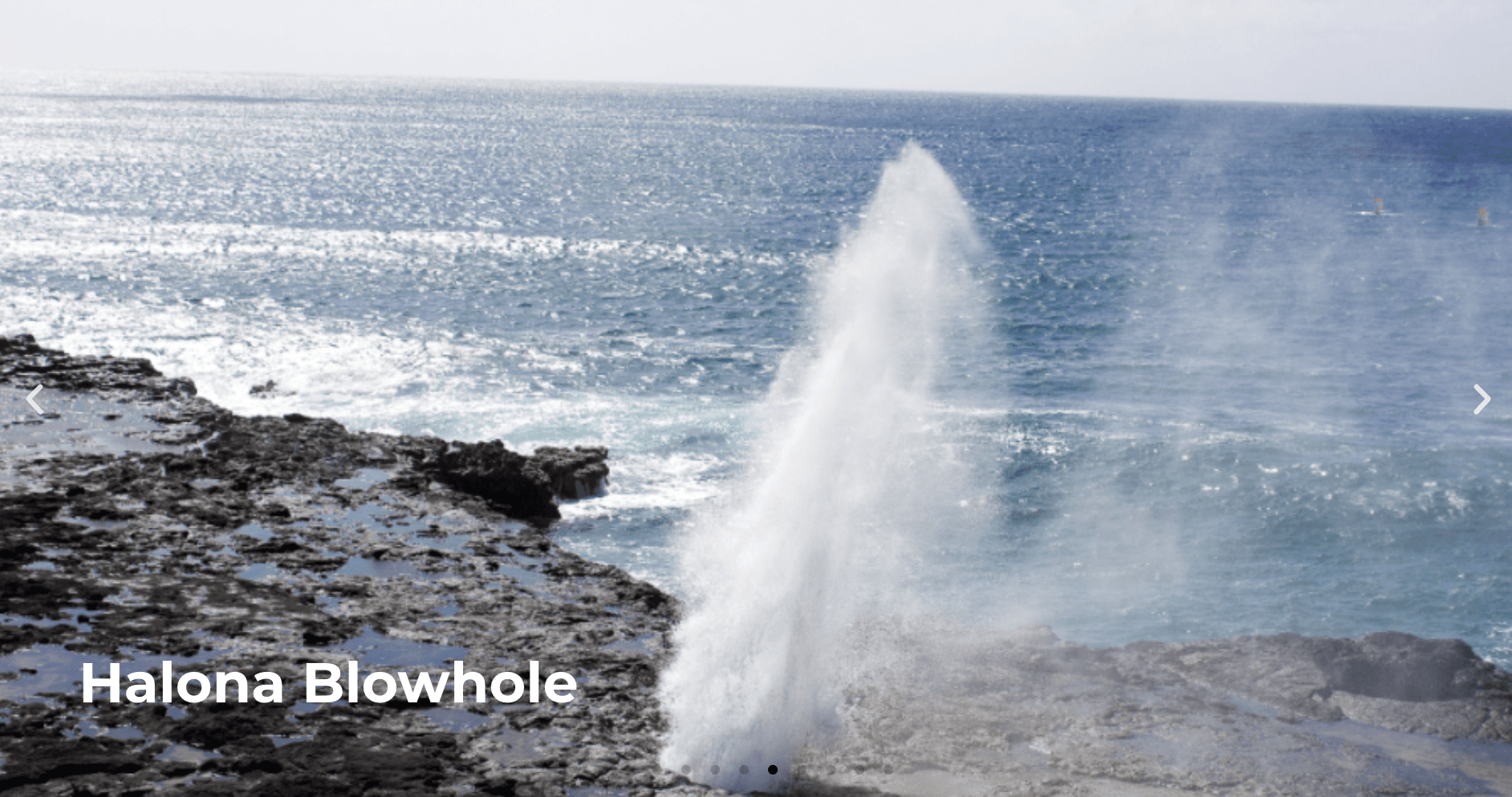 SIGNATURE CIRCLE ISLAND TOUR(waikiki pickup)