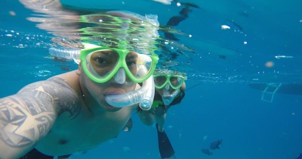 Snorkel With Turtles!  See Turtles GUARANTEED!
