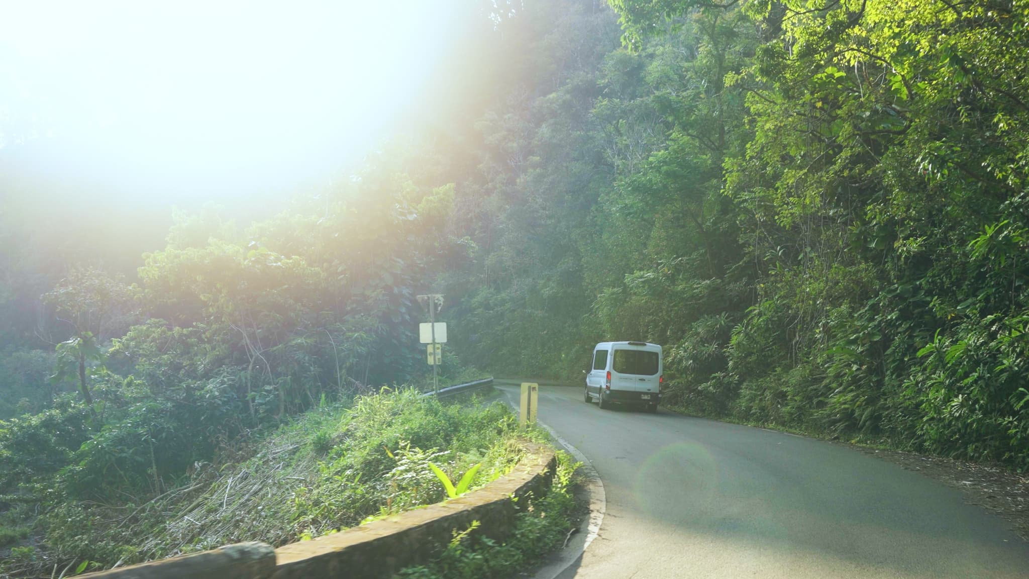 21W - Road to Hana Deluxe Rainforest and Waterfall Experience Departing from Oahu