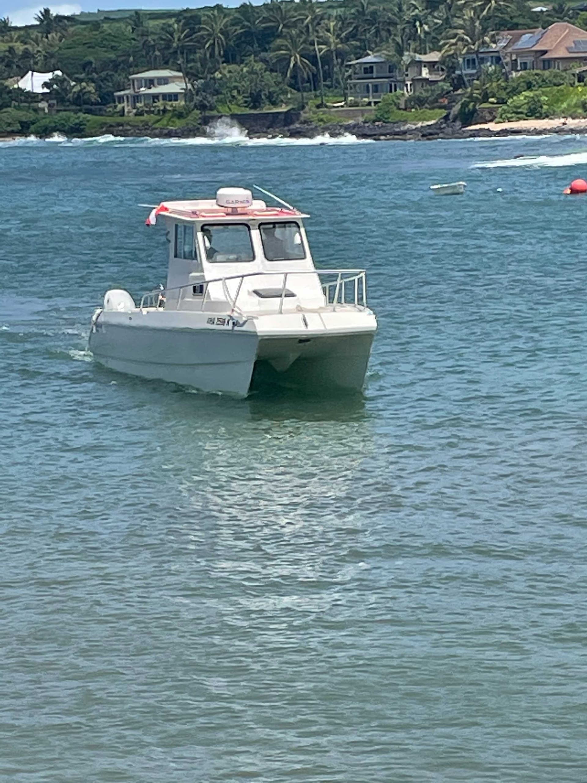 South Island Boat Adventure Dive