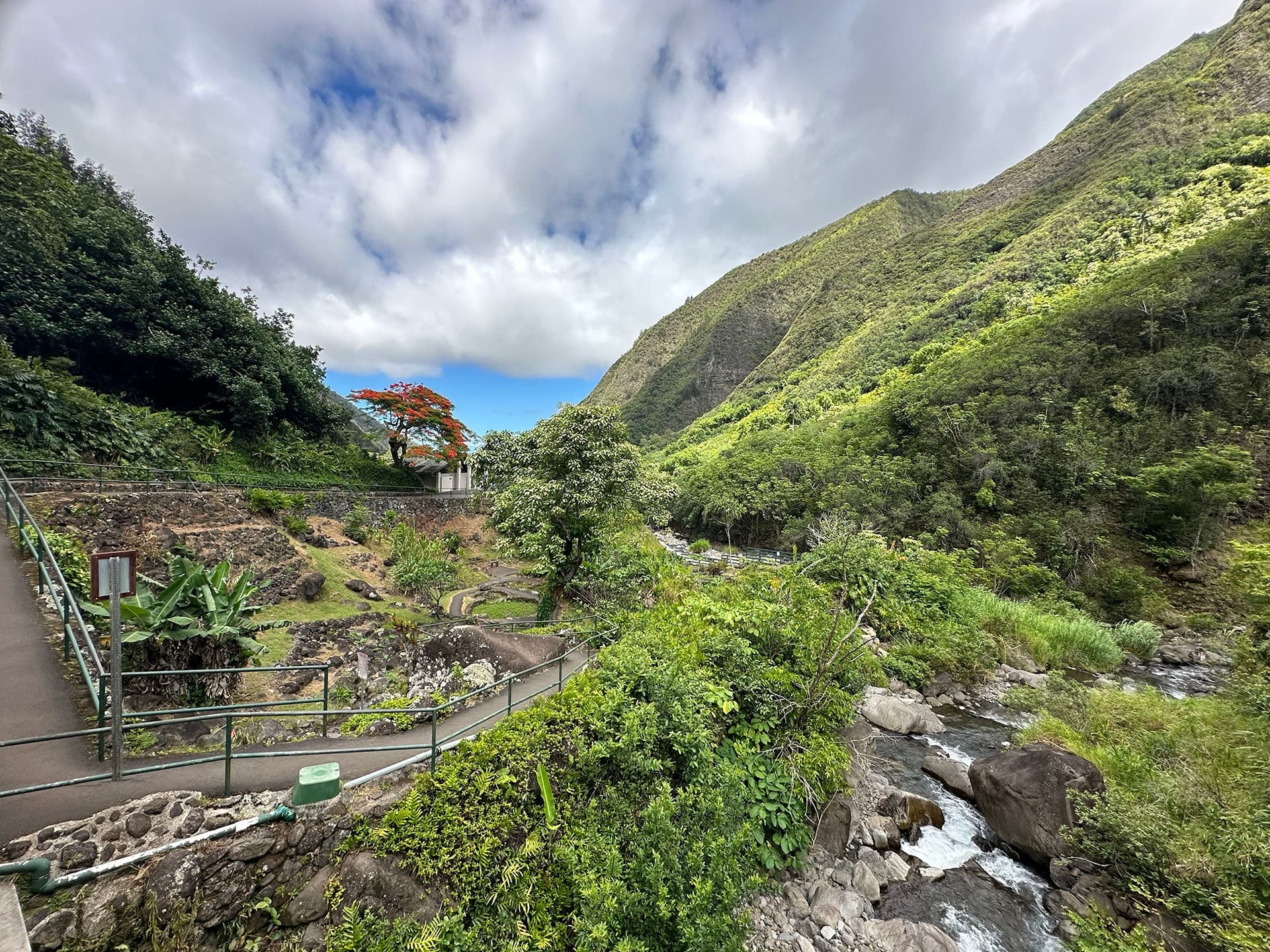 Iao Valley Tour
