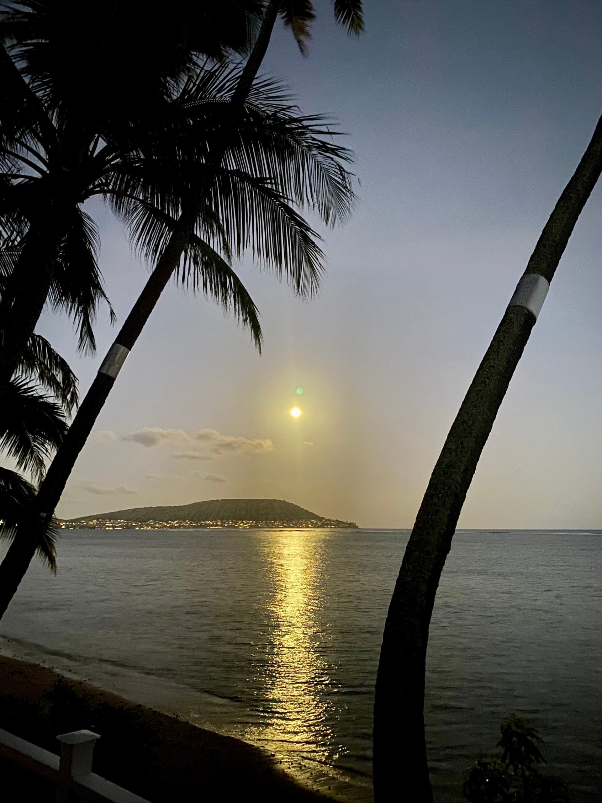 Full Moon Yoga in the Park