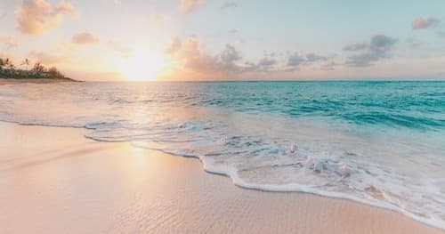 Waikiki - Hawaiian Style Scoot Coupe Rental for the Day