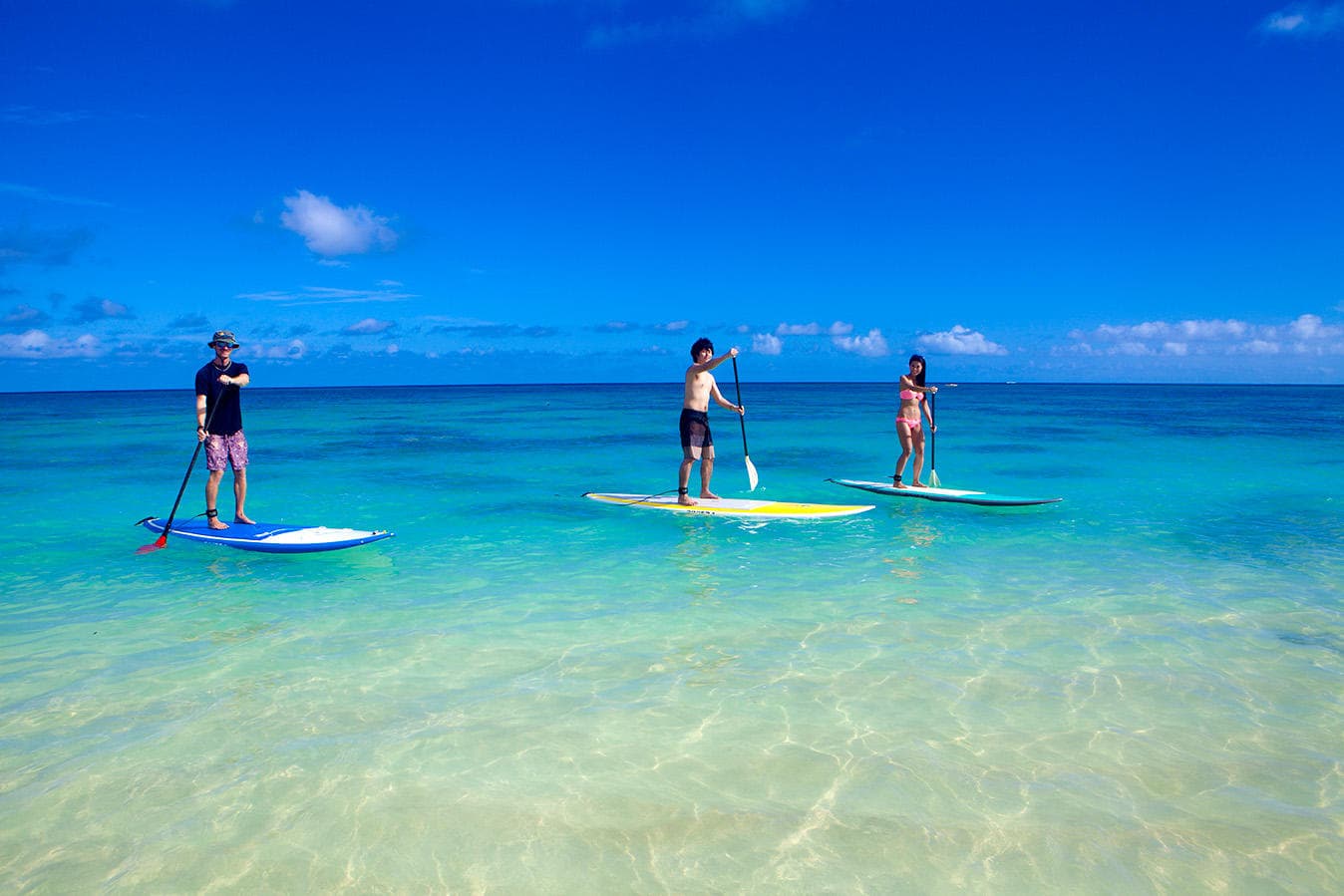 各種レンタル (Rental)