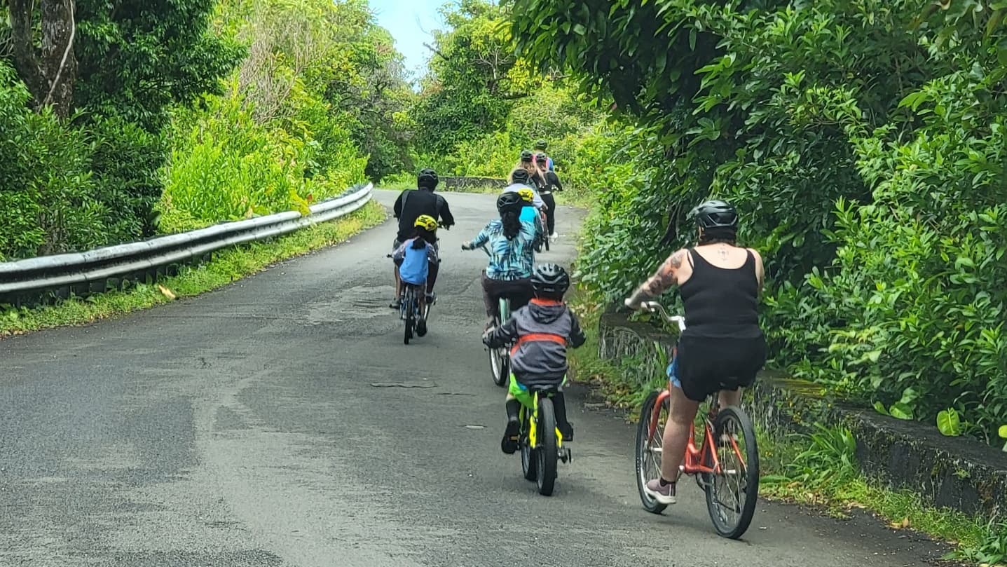 Rainforest to Reef tour:  Full-Day