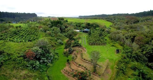 Farm Tour and Hawaiian Craft Chocolate Tasting
