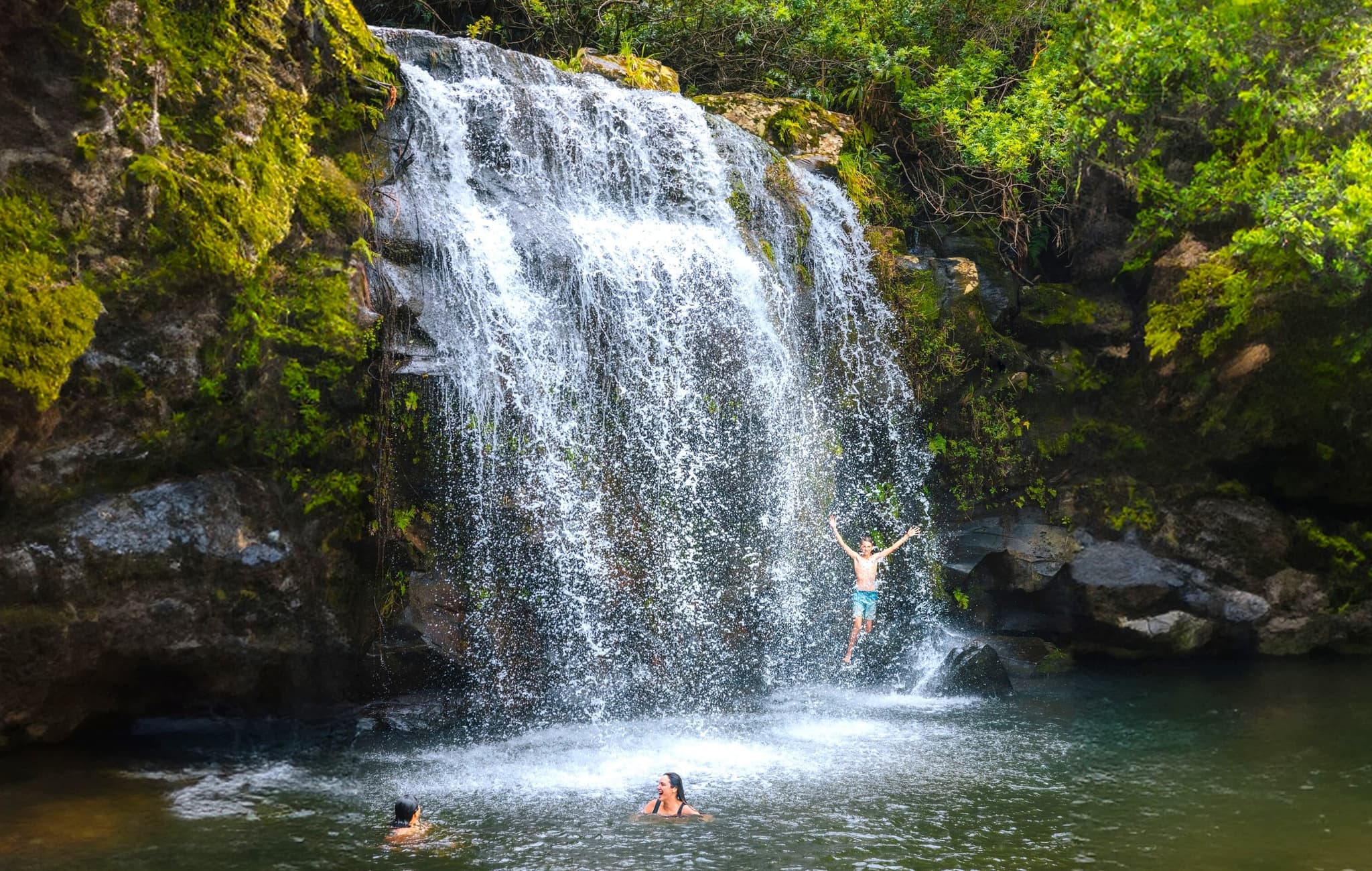 Kohala Waterfalls Adventure - Private Ohana Outing