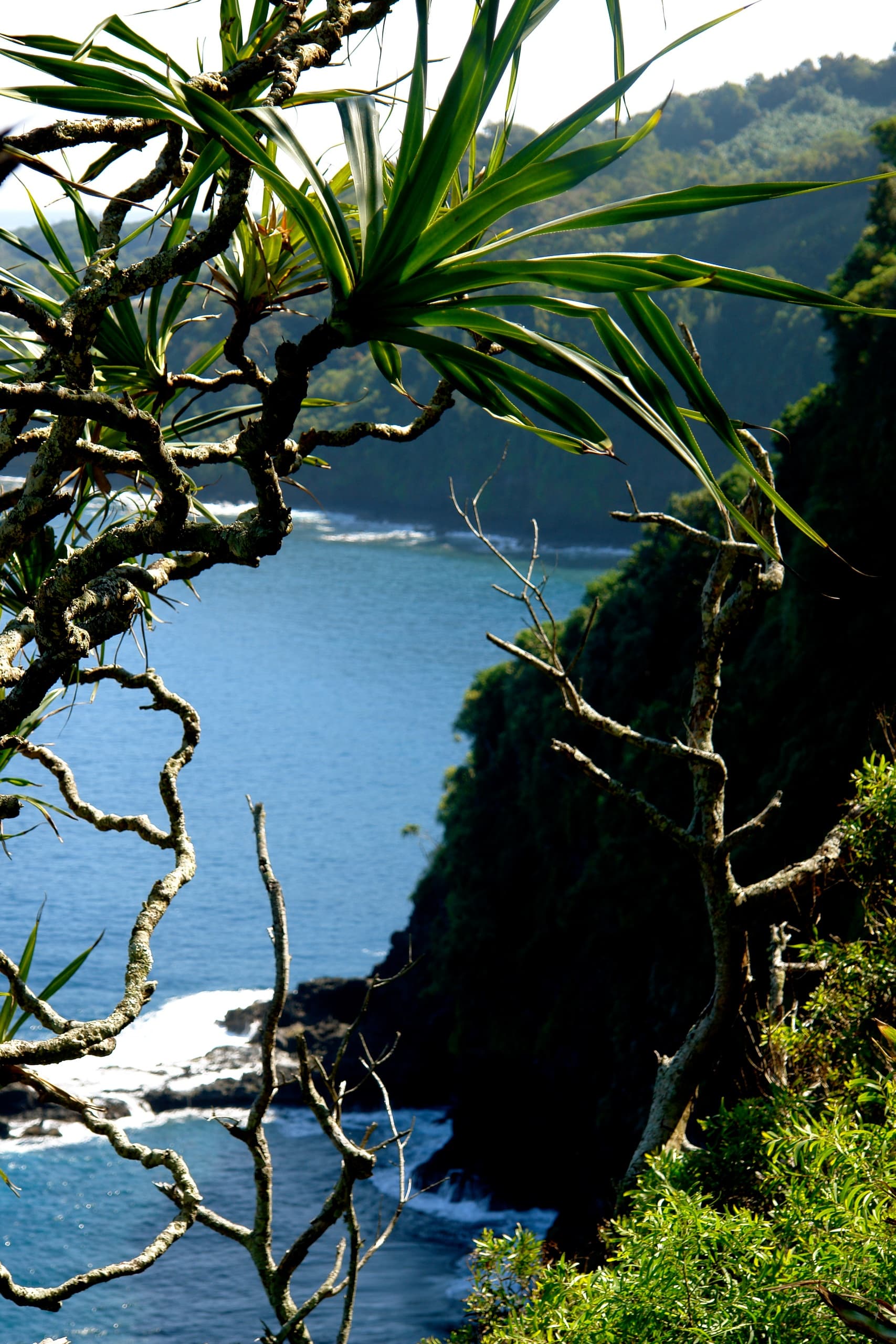 Magiczne Oceaniczne Wydmy