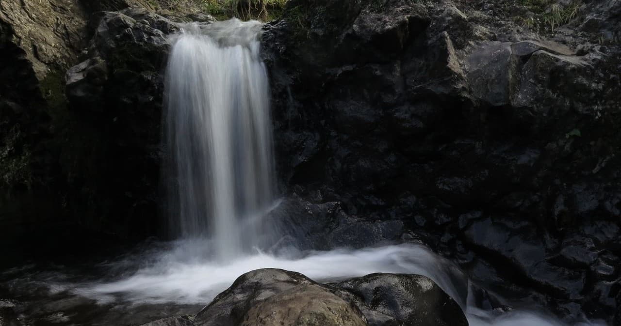 Northshore Explorer & Photo Tour