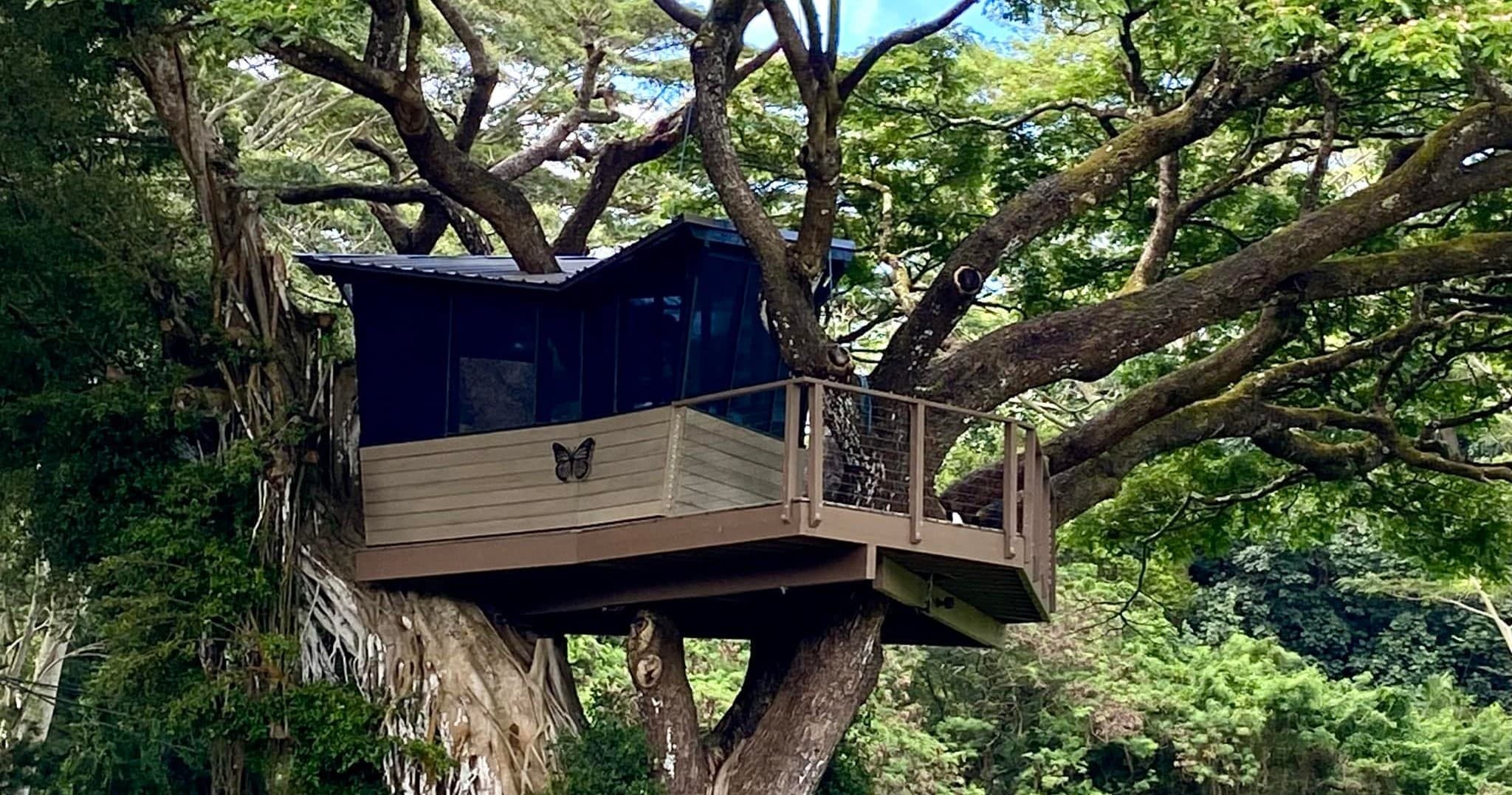 Self-Guided Farm Visit