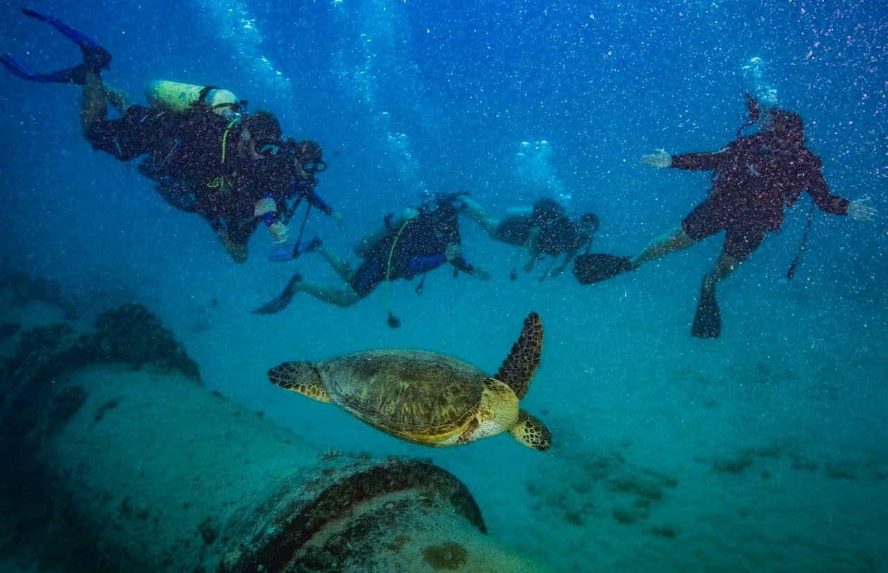 Waikiki 2 Tank Scuba Dive