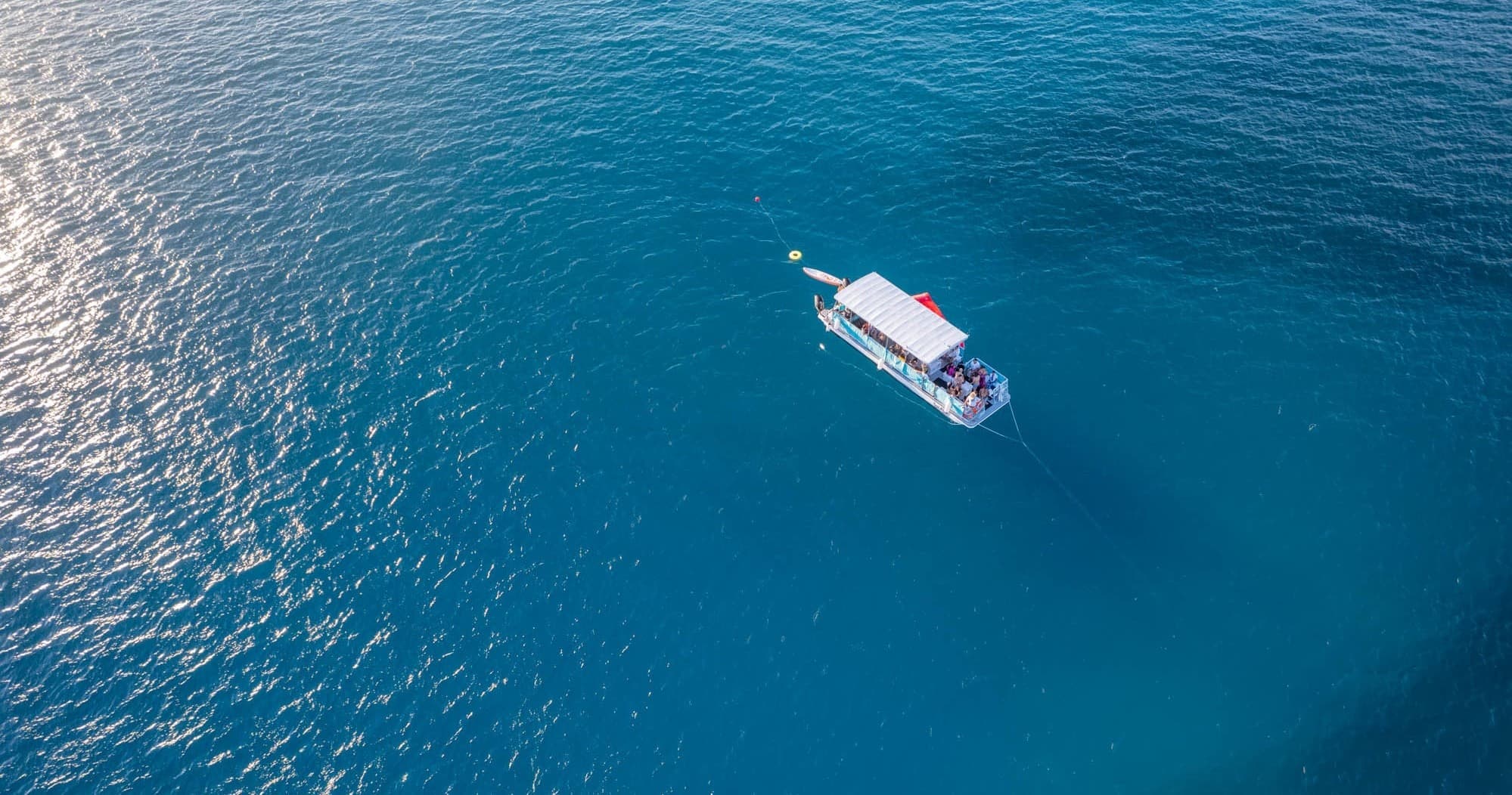 OCEAN SAFARI [Wildlife Boat Tour]