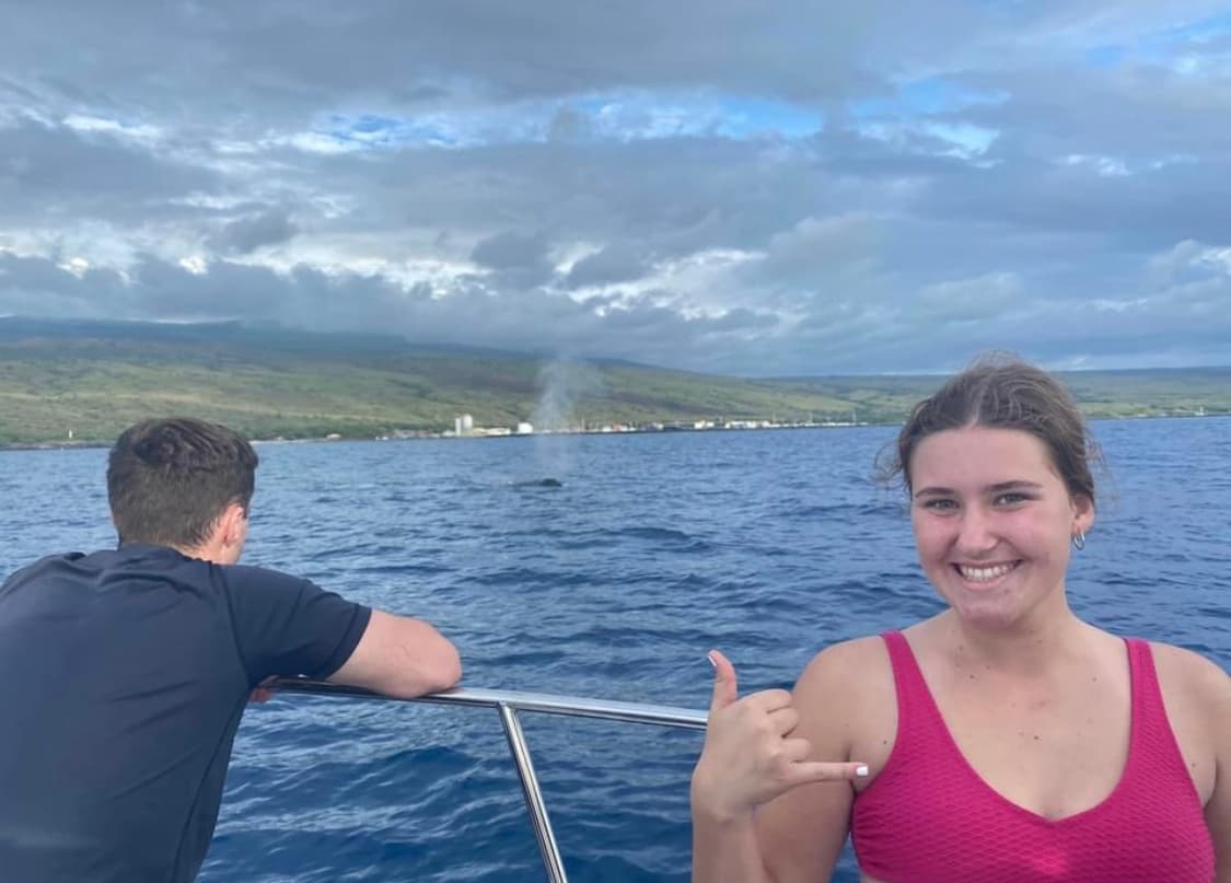 Best Big Island Whale Watch