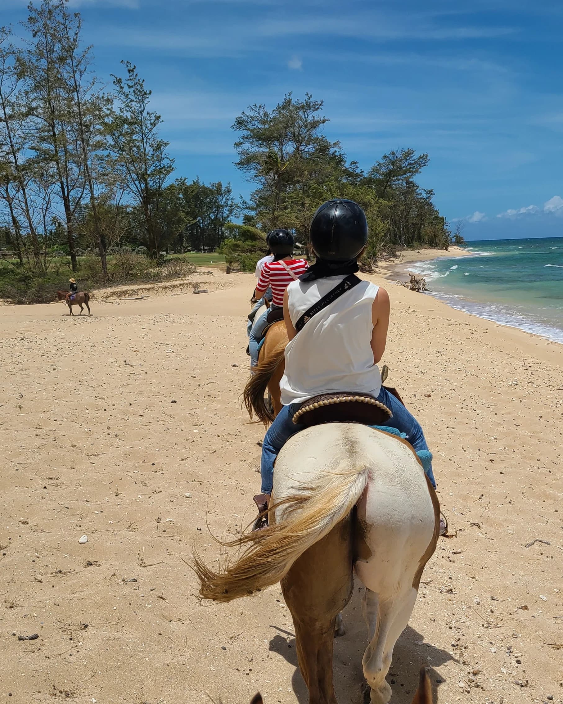 Sunshine Horseback Ride