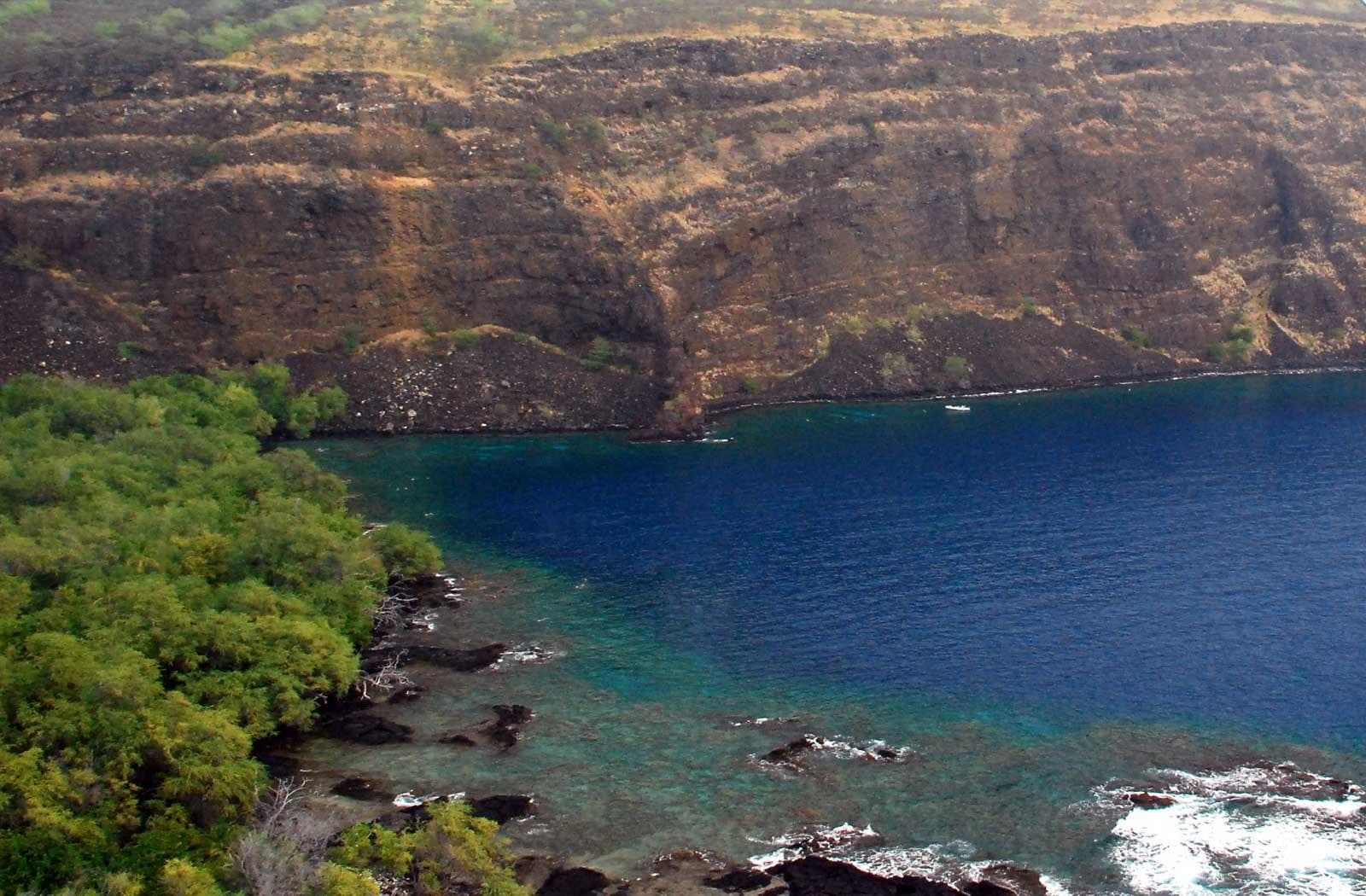 K-Bay Reef Snorkel and Dolphin Encounter