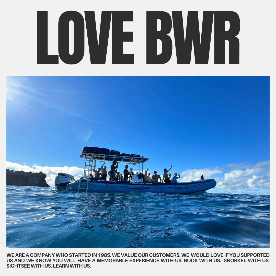 The Famous 3 Hour Molokini Plus and Turtle Town