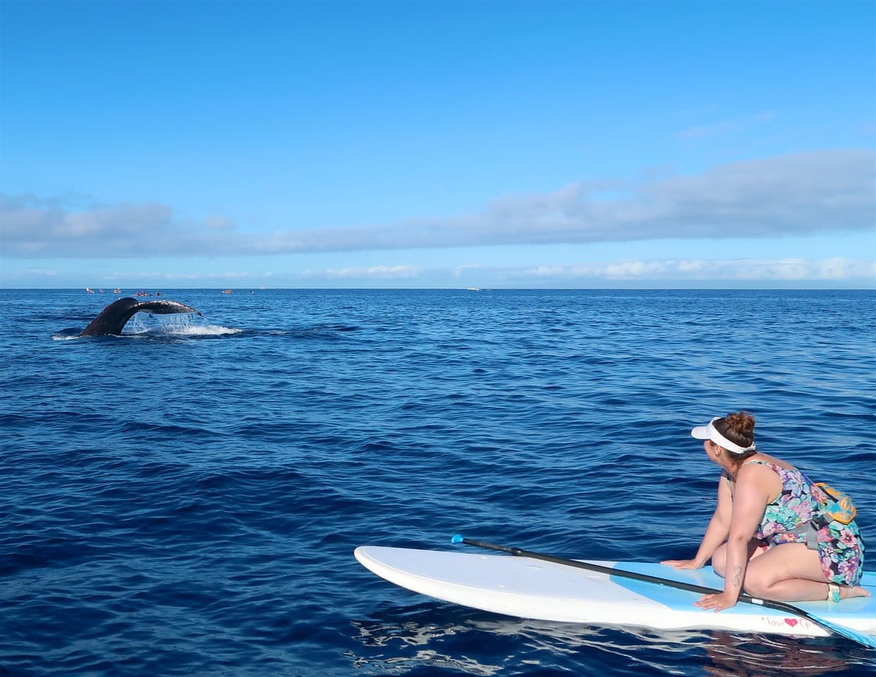Paddleboard - Private “Whale” of a Whale Watch