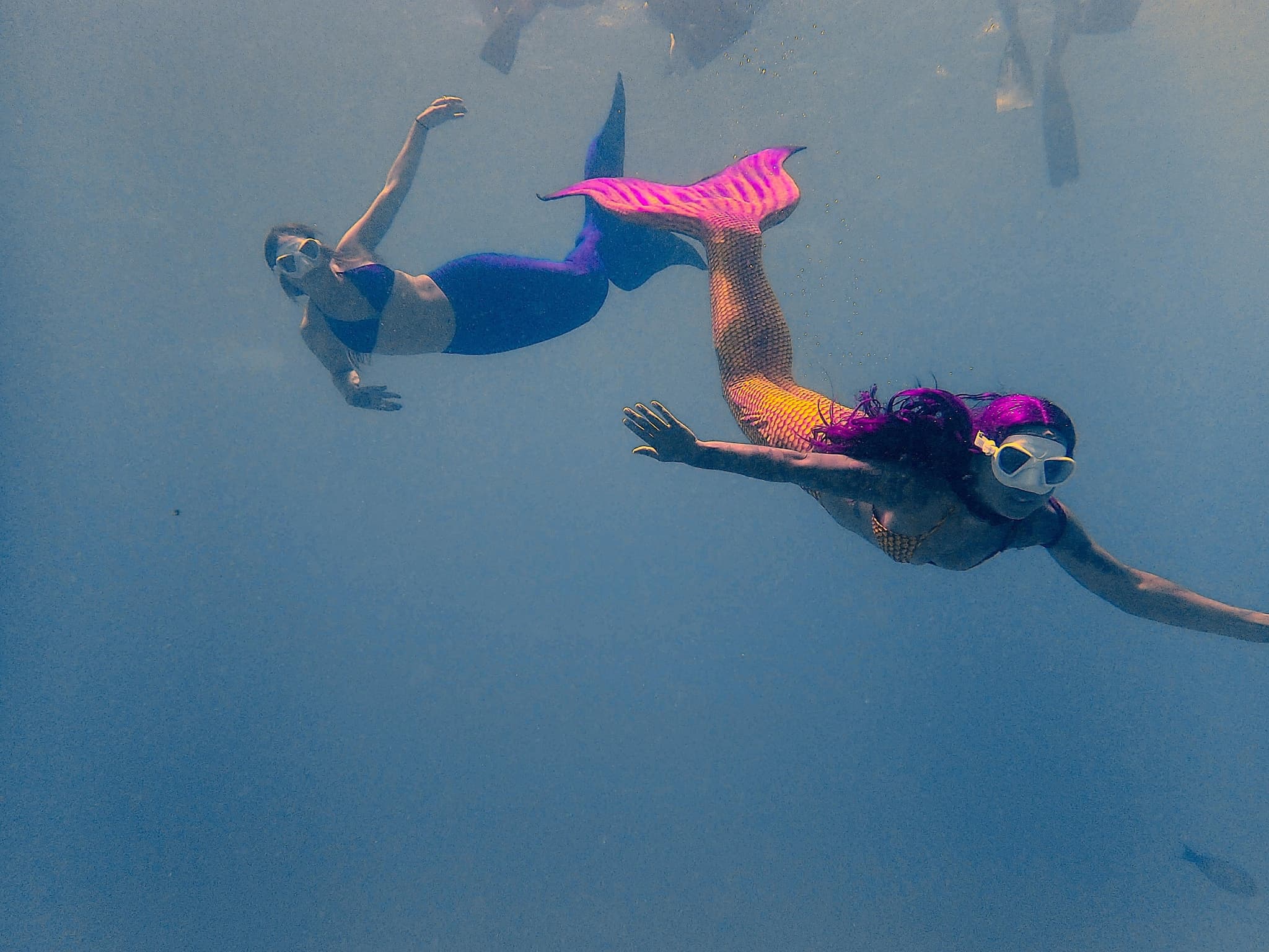 Mermaids and Turtles