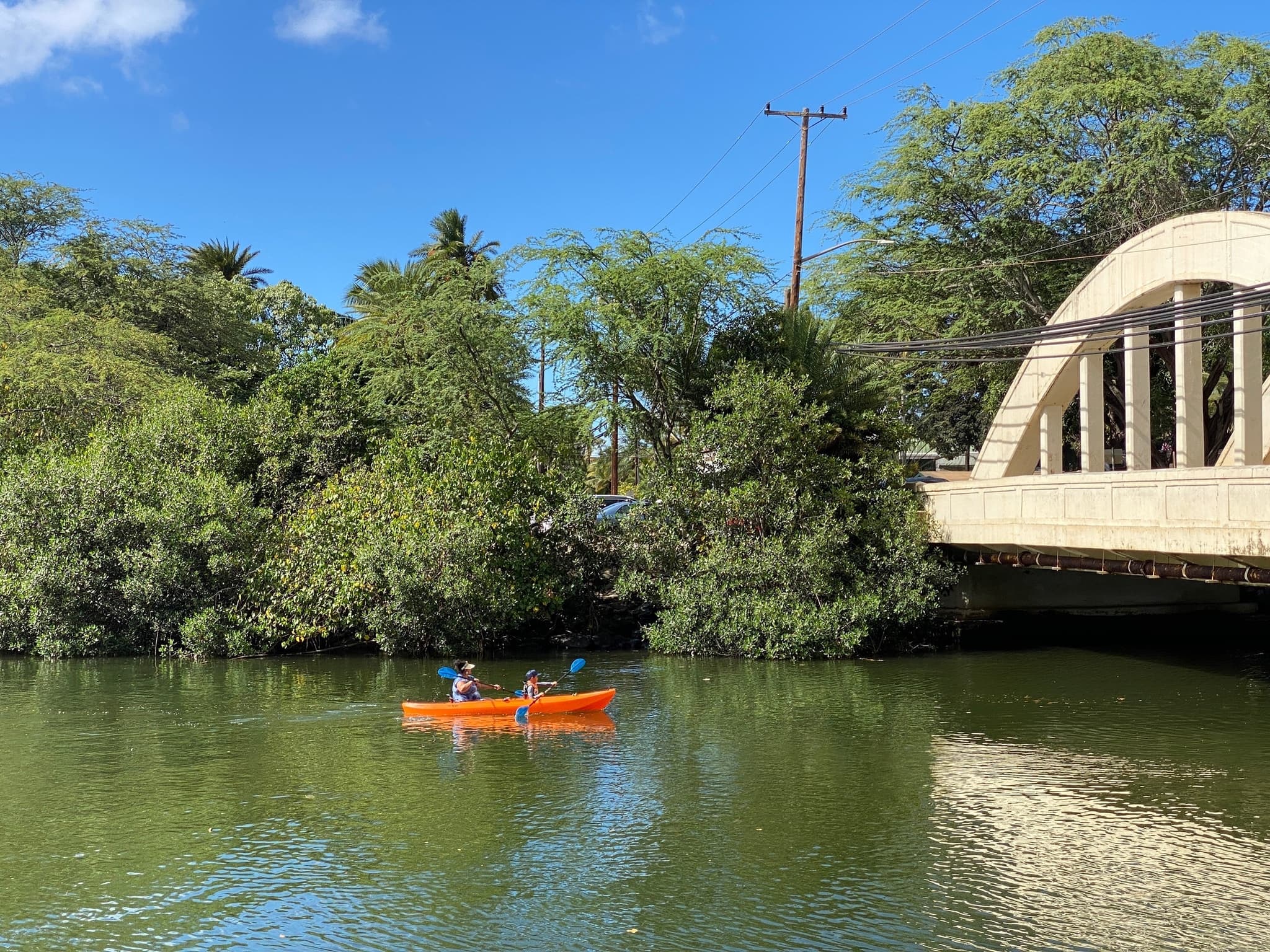 North Shore Tour from Ko Olina