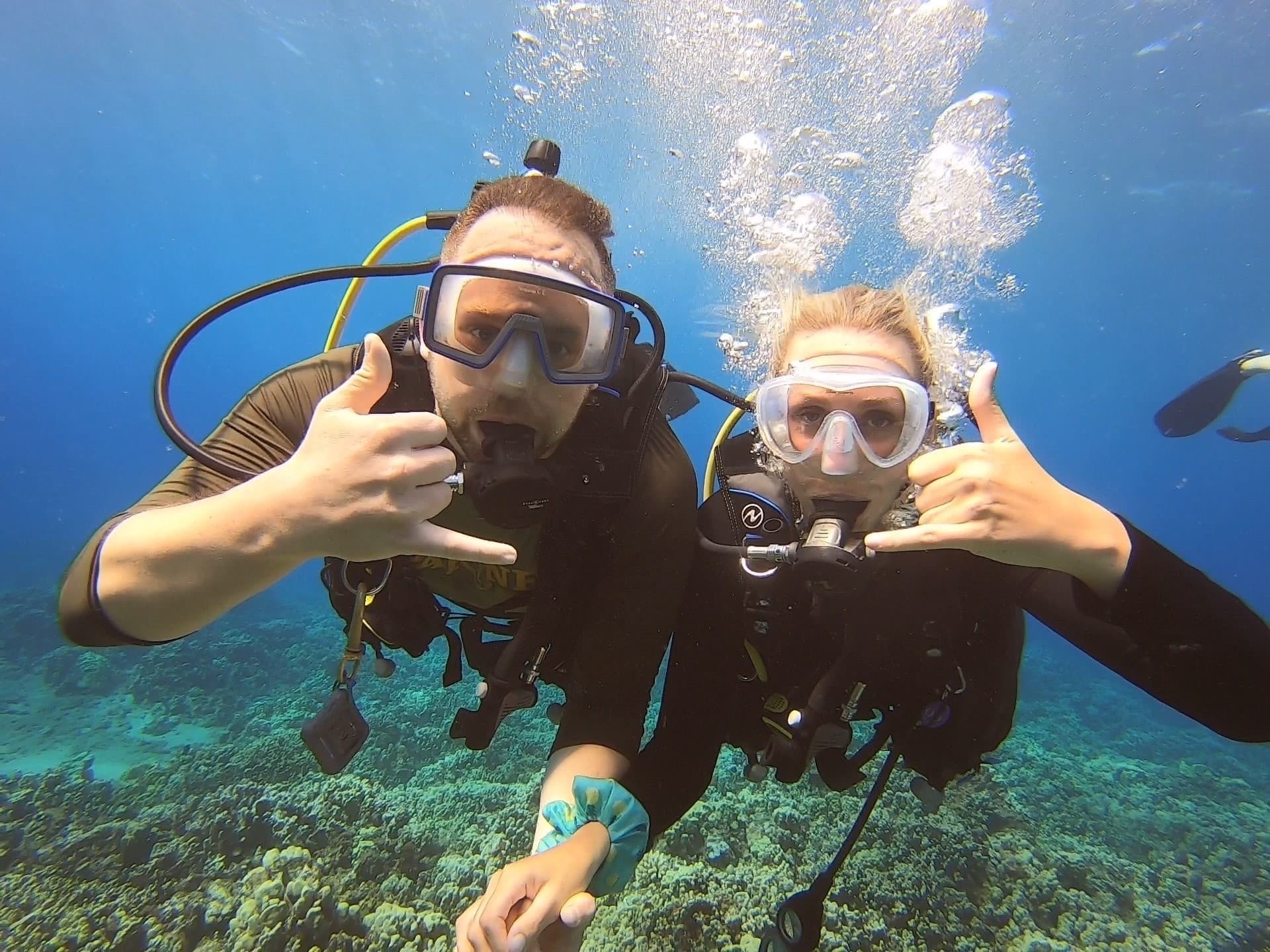 Black Rock Shore Dive