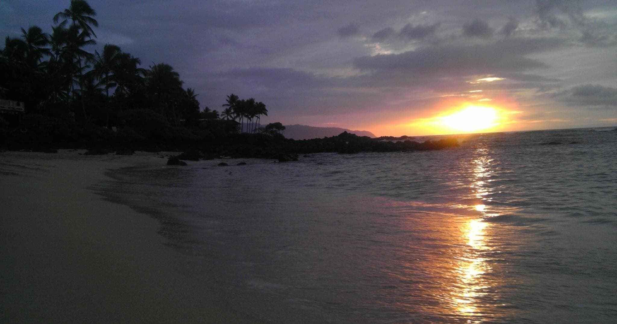 Sunset BBQ & Surf Lesson