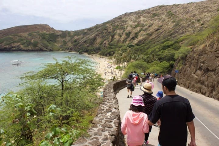 Hanauma Bay Snorkeling