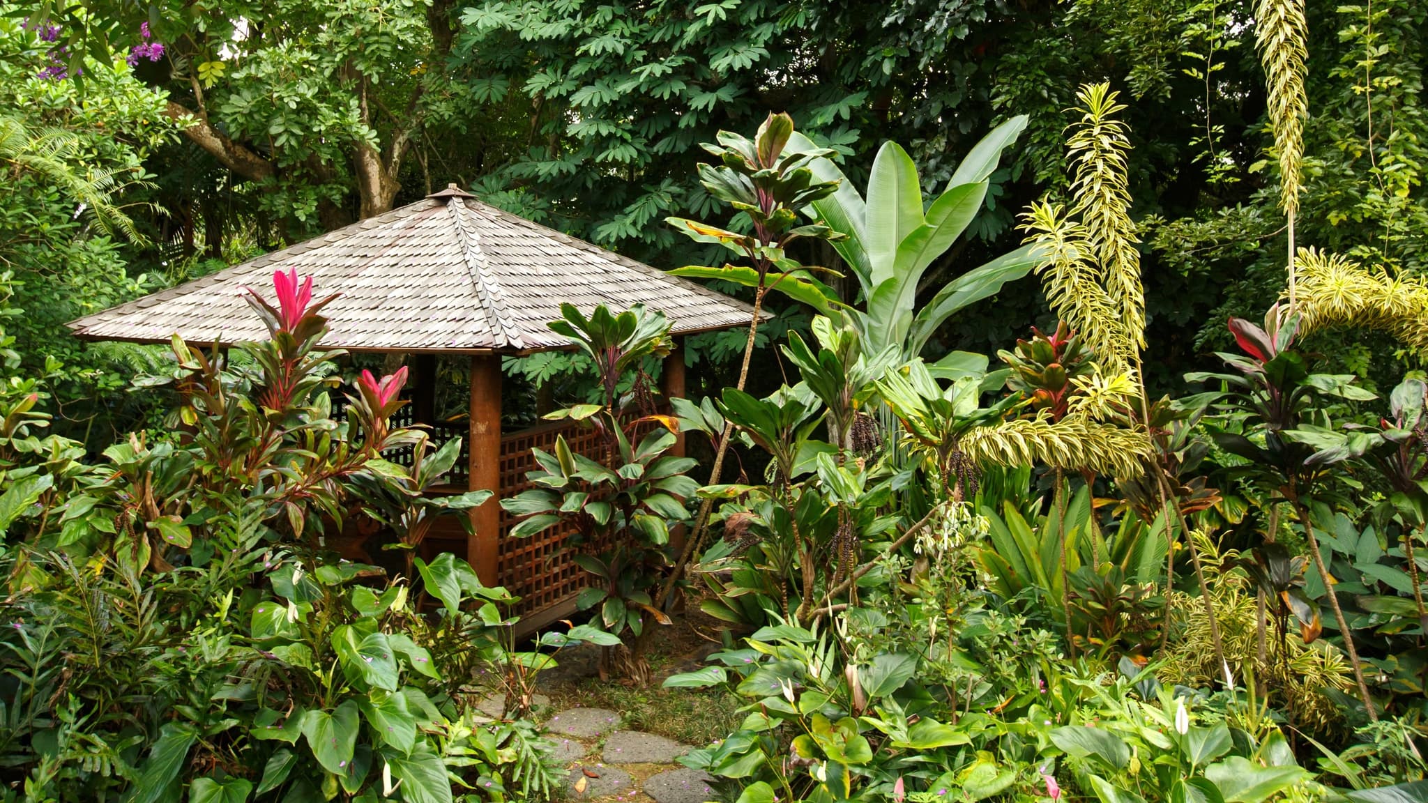 Forest Bathing in an Artistʻs Garden