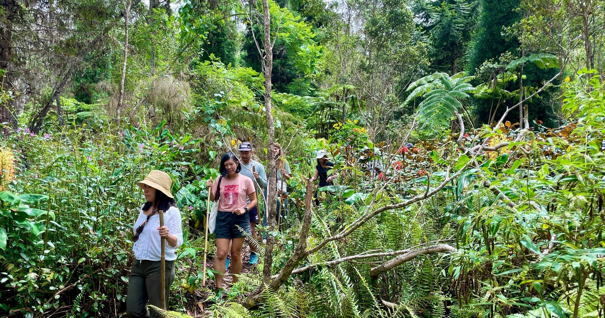 Cloud Forest Tour - Montane Jungle Trail (2.5 hrs)