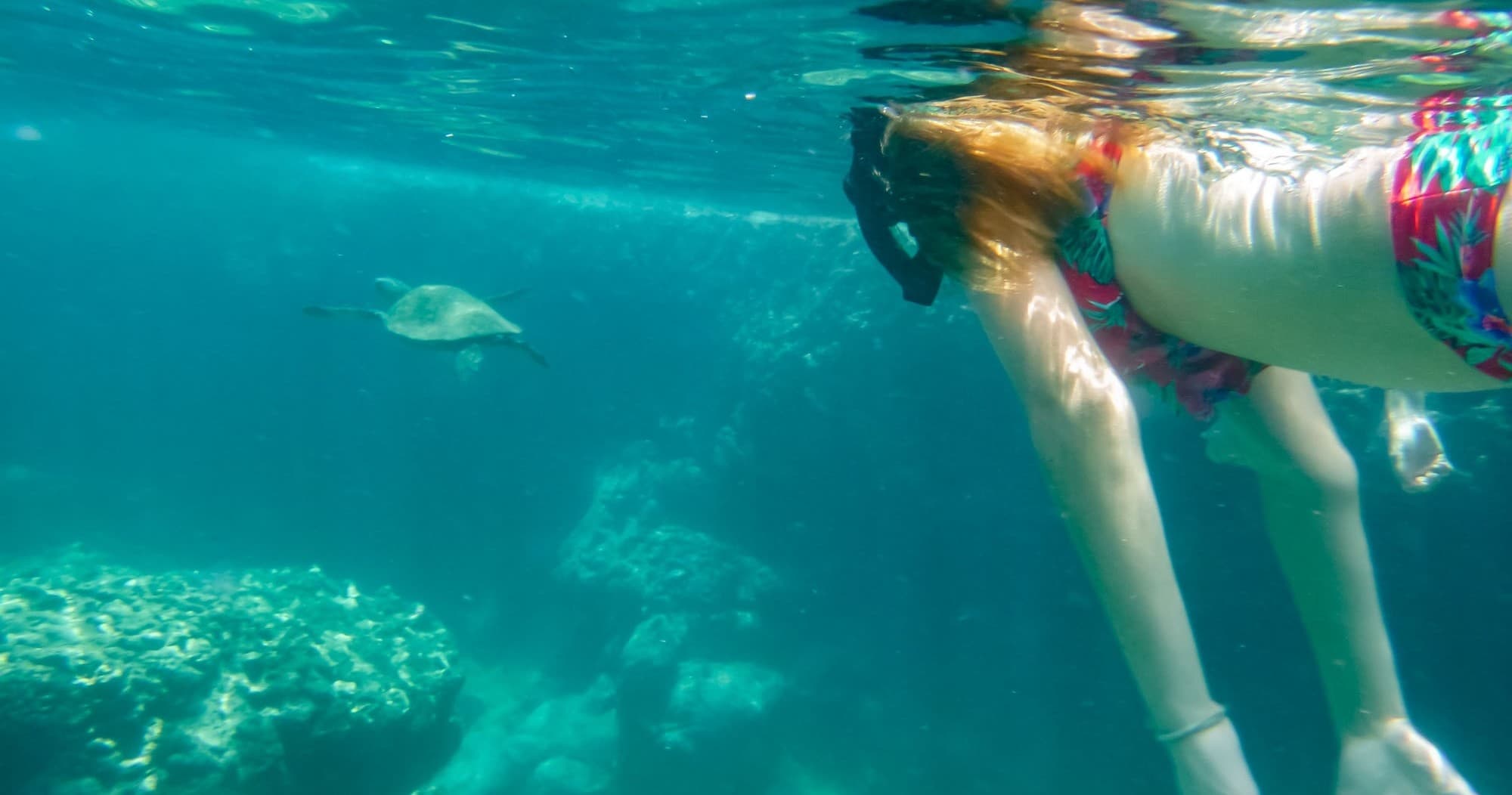 Sharks Cove Self-Guided Snorkel