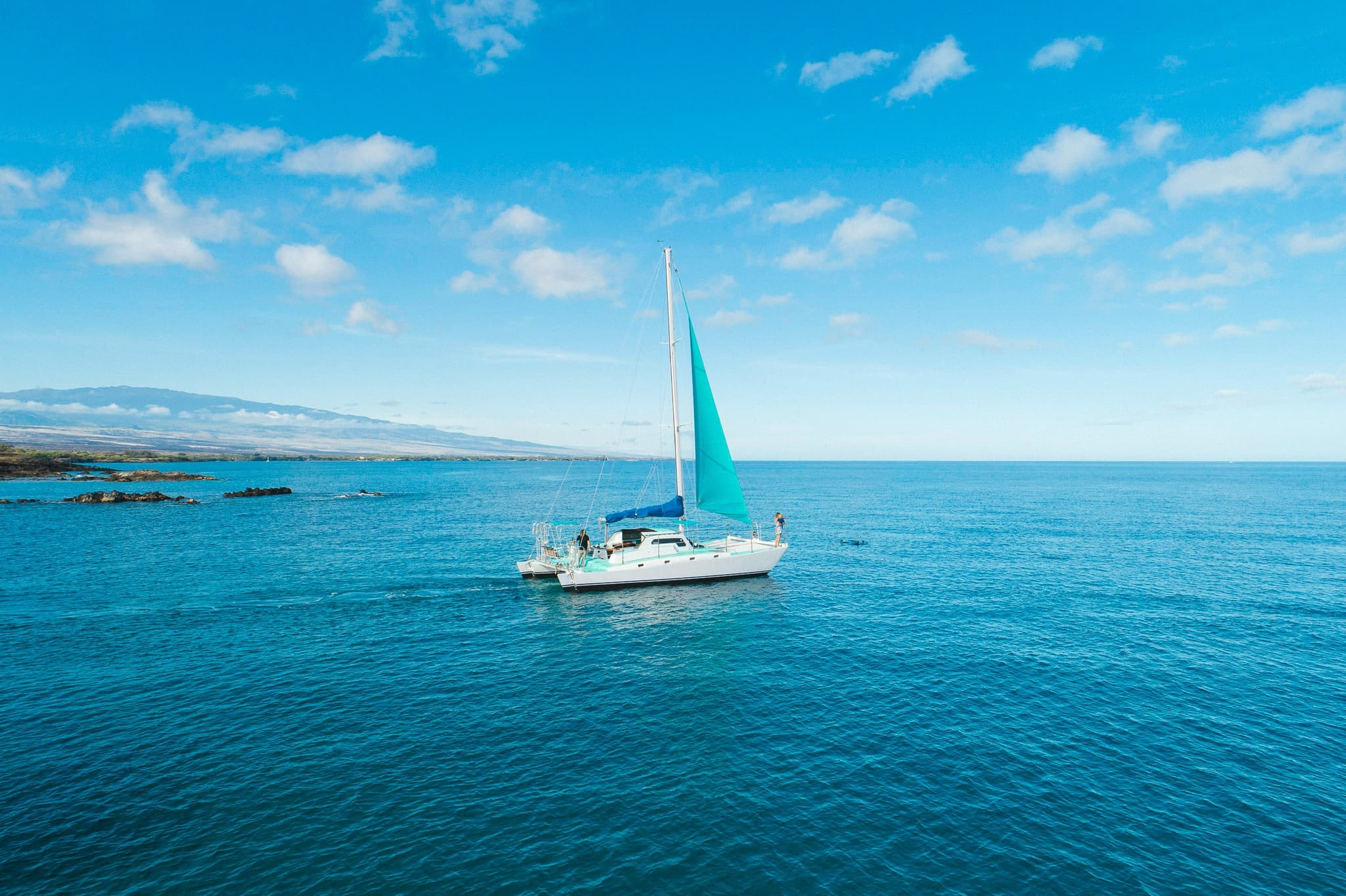 Whale Watch/ Coastline Tour