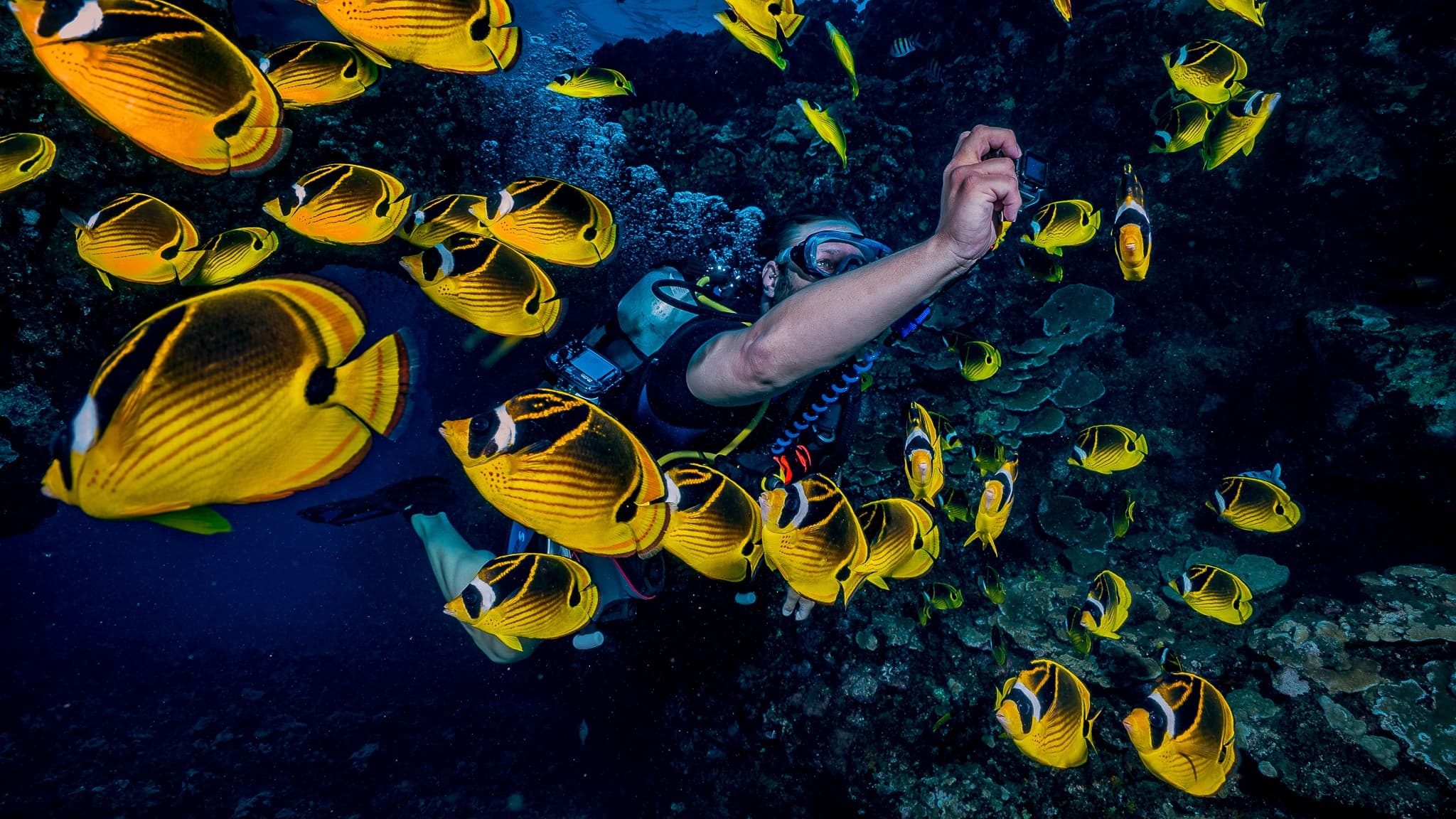 2 Tank Lanai Cathedral Dive by Boat