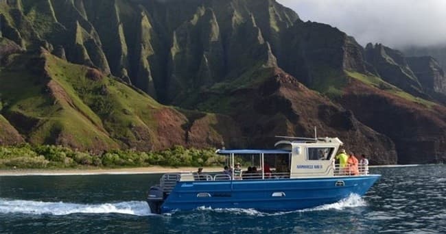 Afternoon Tour - Spring & Summer