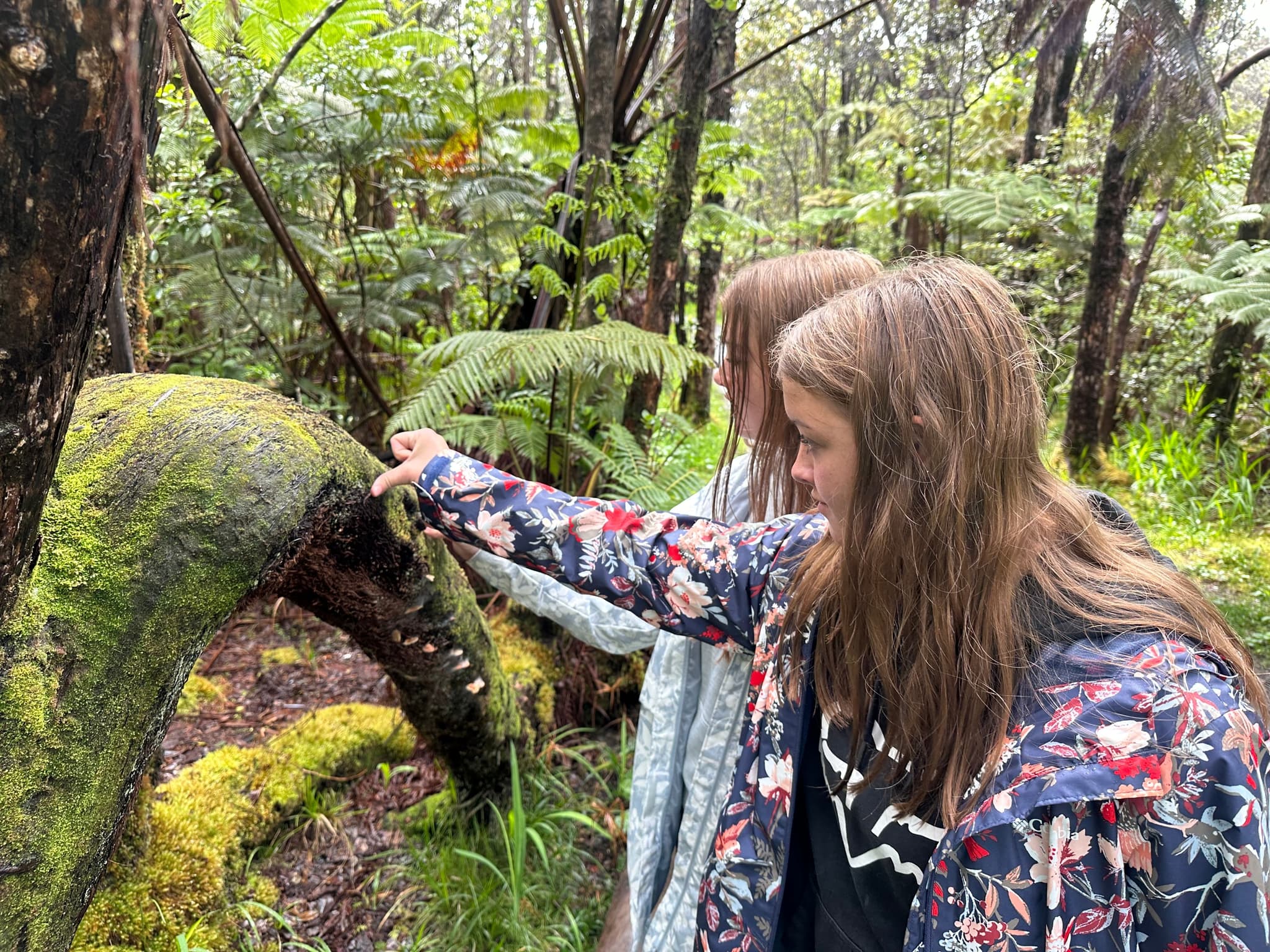 Ultimate Hilo Volcano Tour