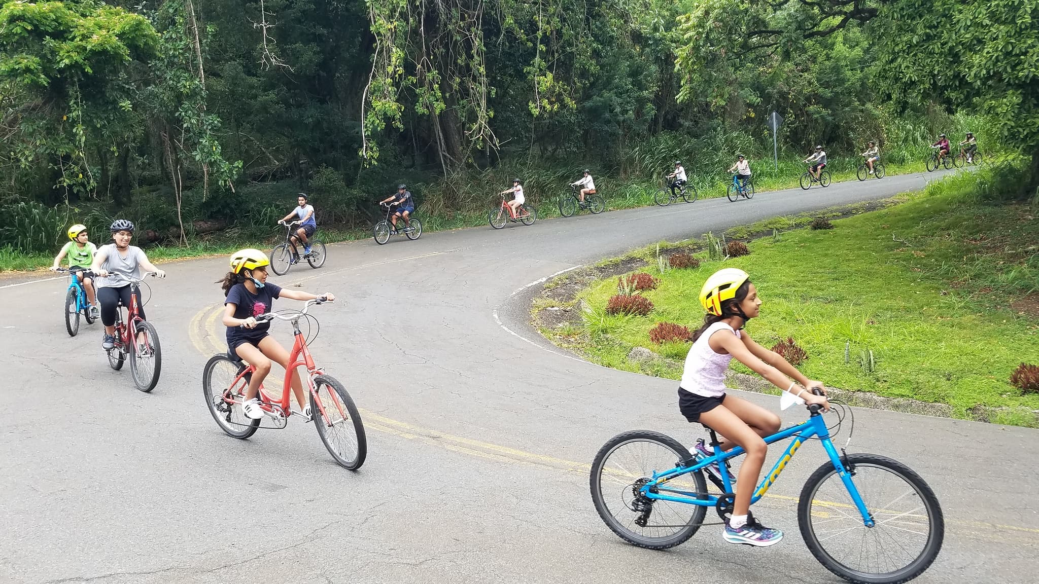 Rainforest to Reef tour:  Half-Day