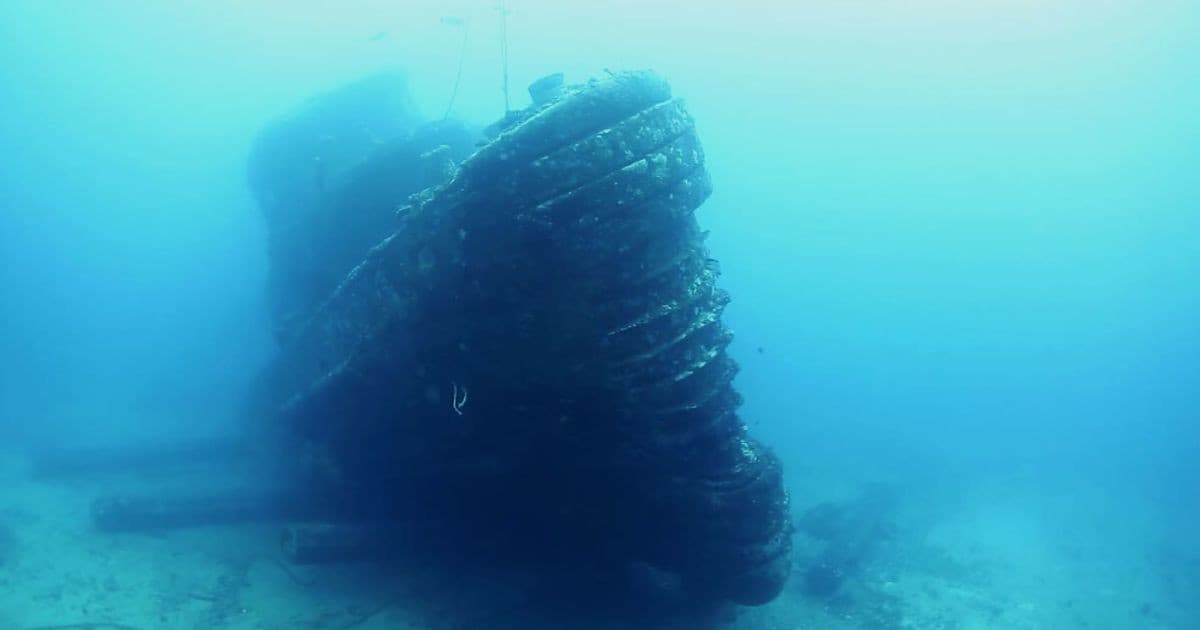Navy Tug Freediving Charter