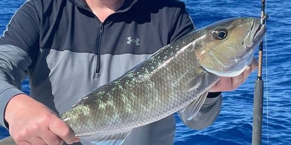 Bottom Fishing • 4 hour