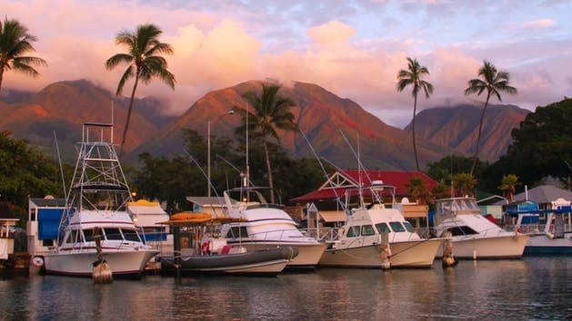 Valentines Premium Seating Dinner • Ma'alaea