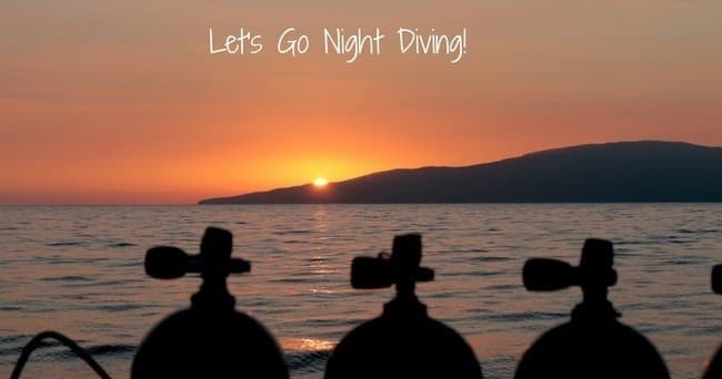 Guided Night Dives