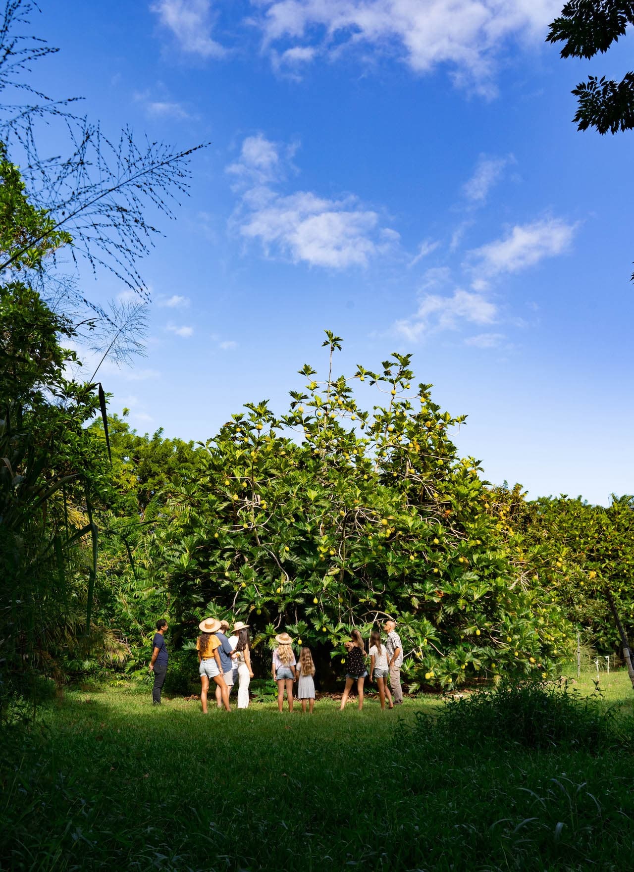Farm & Food Experience