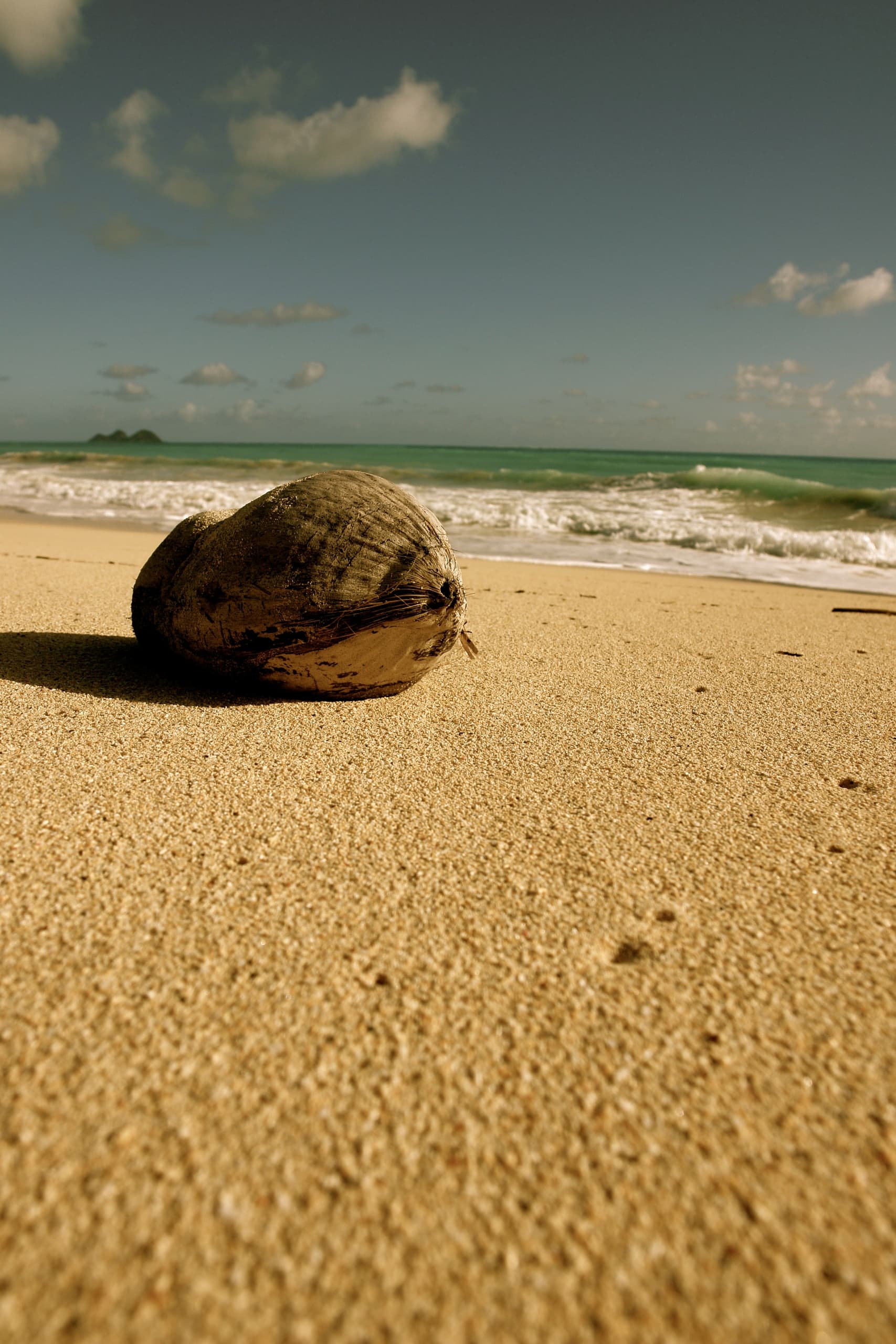 Atlantis Submarine - Eksploracja oceanu łodzią podwodną Atlantis