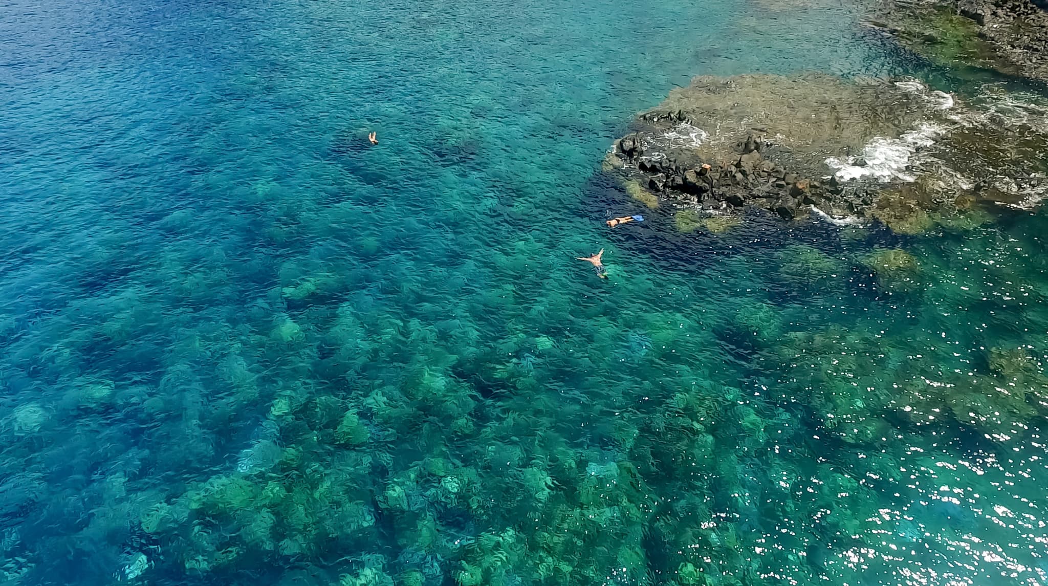 Semi-Private 5 Hour Eco- Raft Lanai Snorkel Dolphin Watch