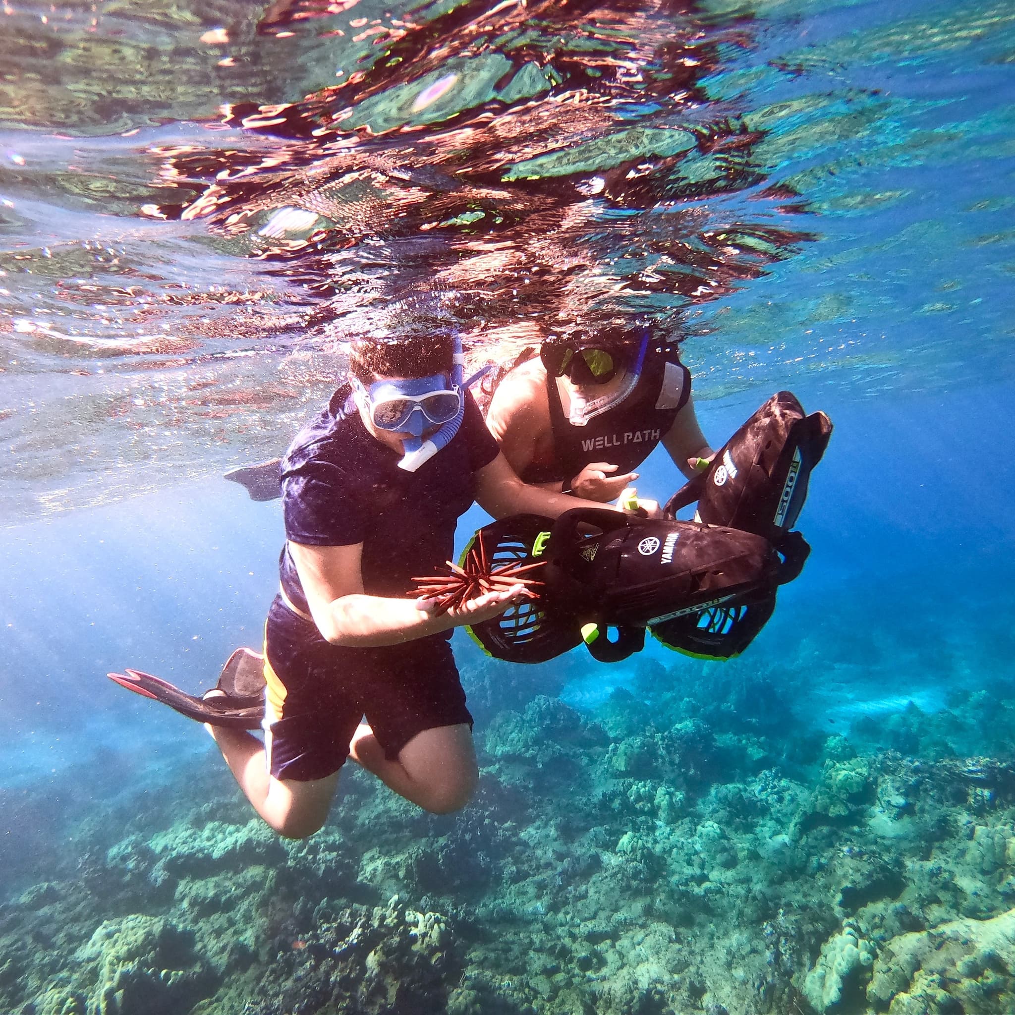Lahaina - Sea Scooter Snorkeling Guided Tour