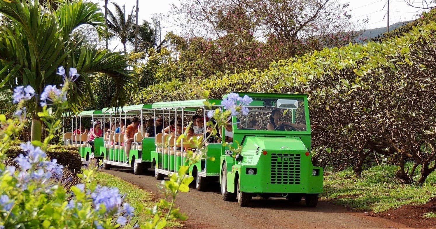 Tropical Express Tour