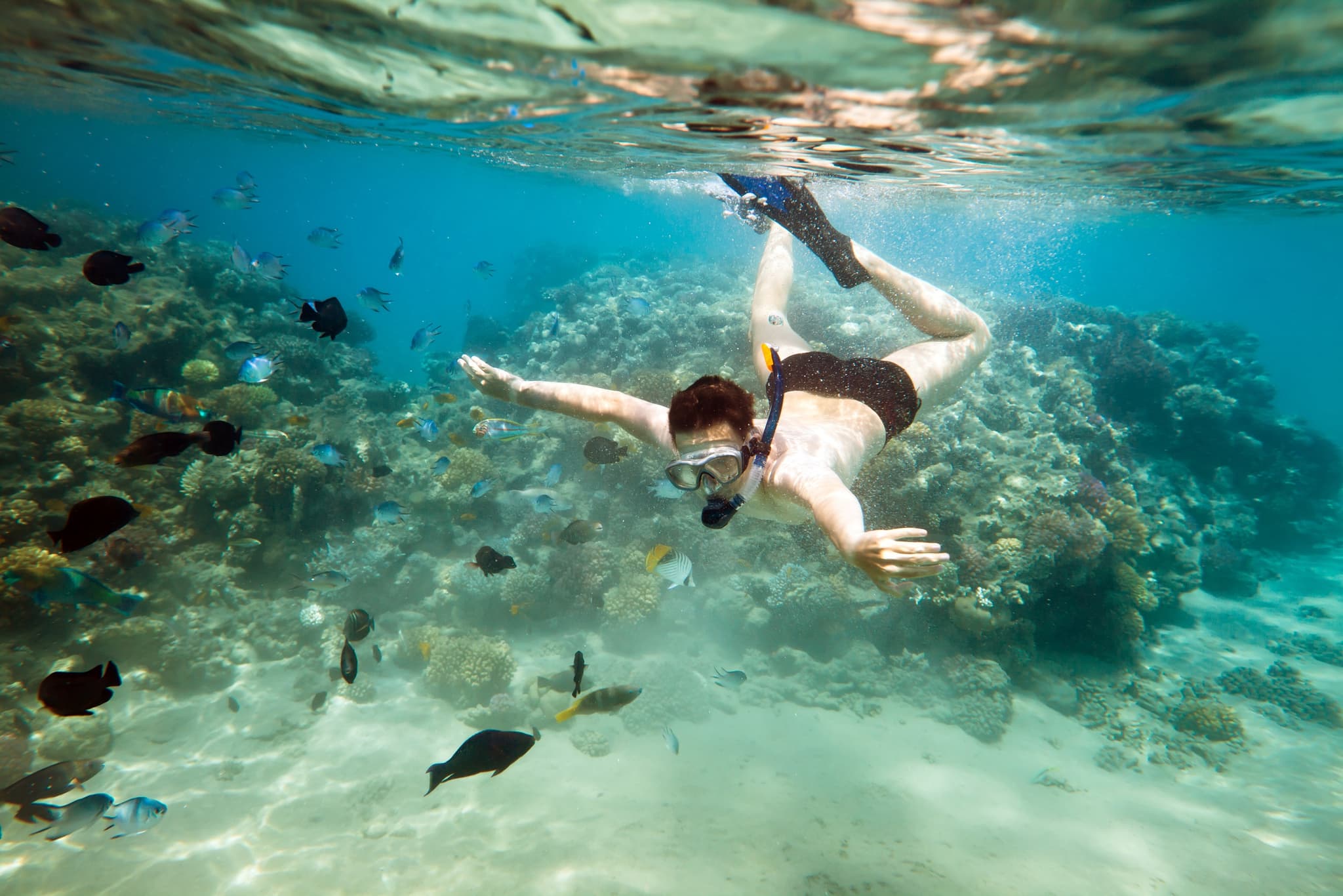 Guided Snorkel Tour - Waikiki