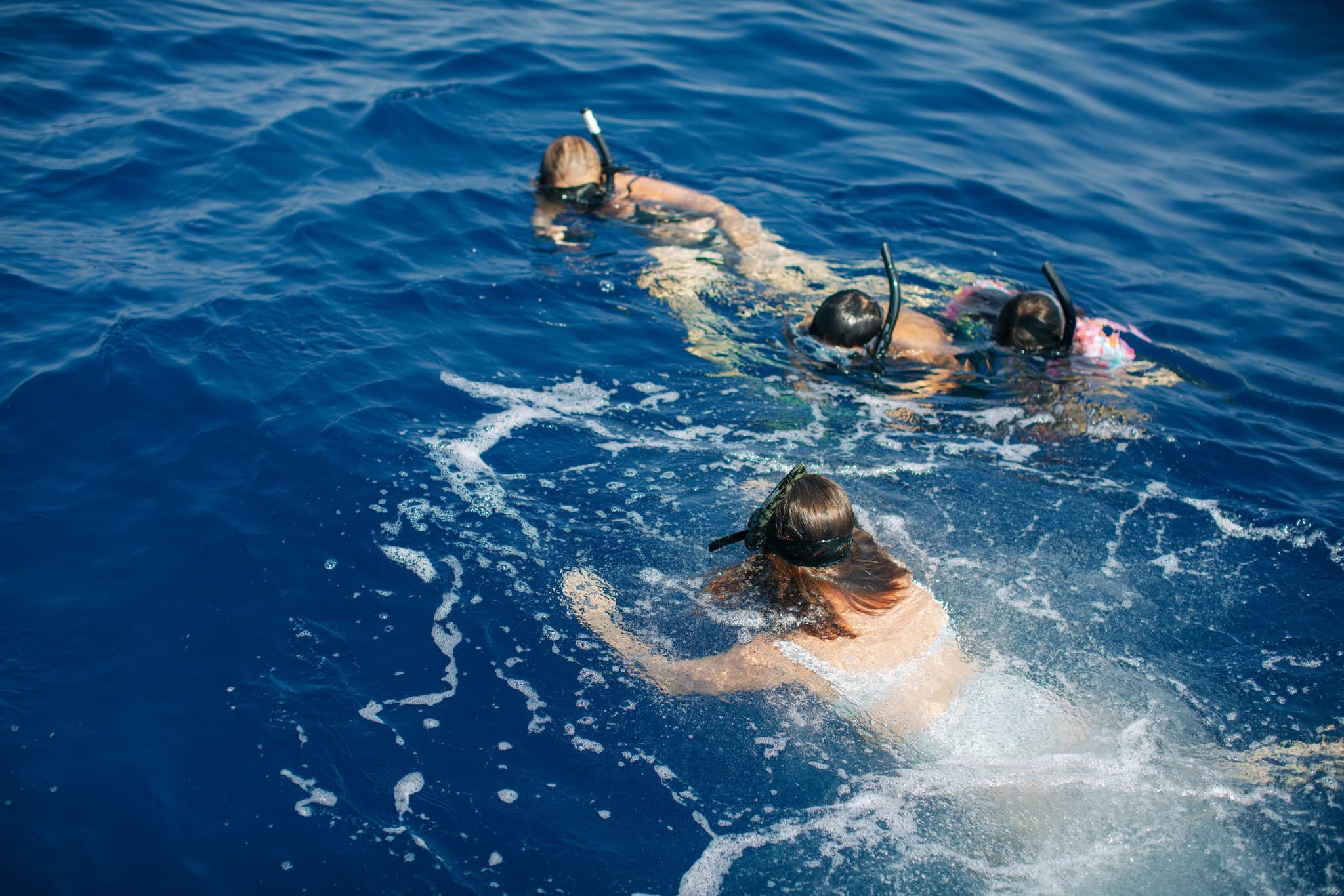 Private Morning Snorkel ~ Marjorie Ann