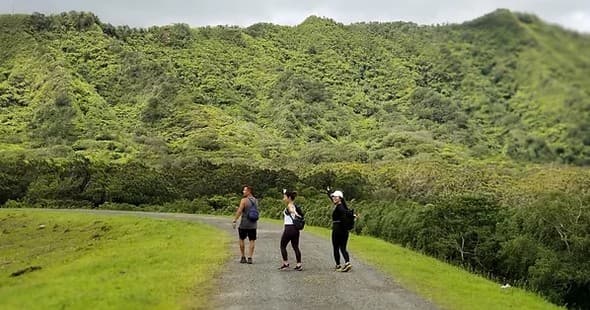 Jungle Waterfalls Adventure