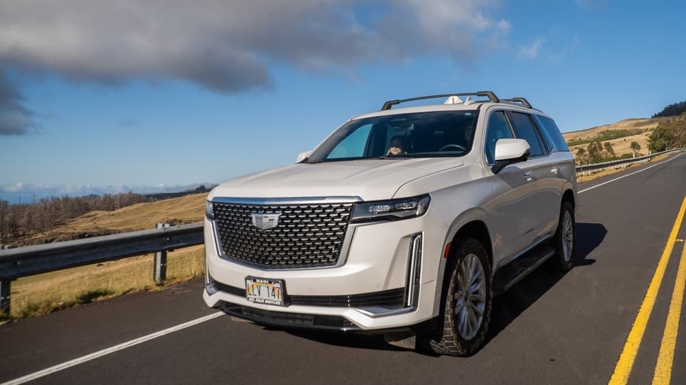 1/2 Day VIP Private Road to Hana Tour with Pick Up