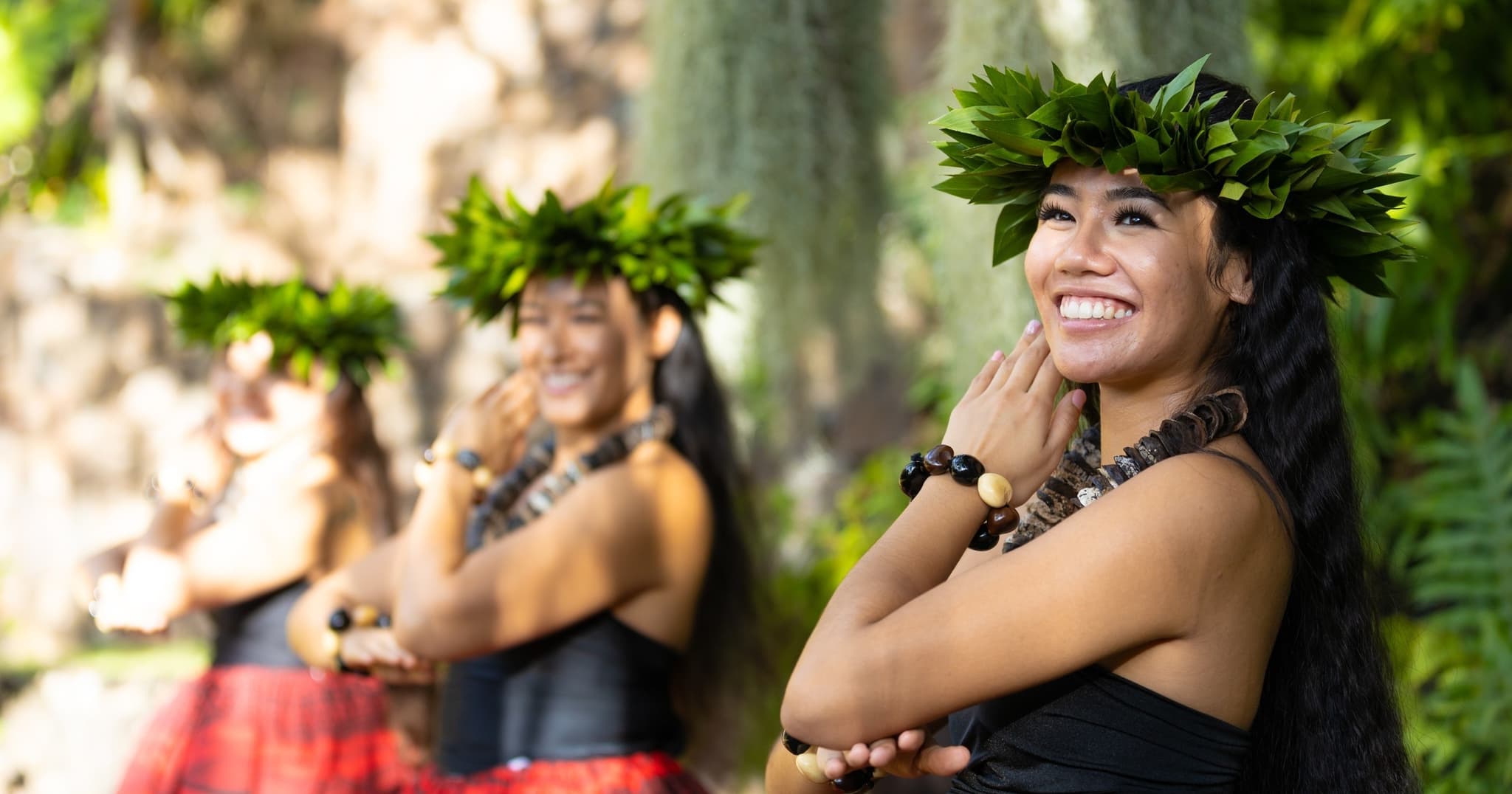 Lehua Package