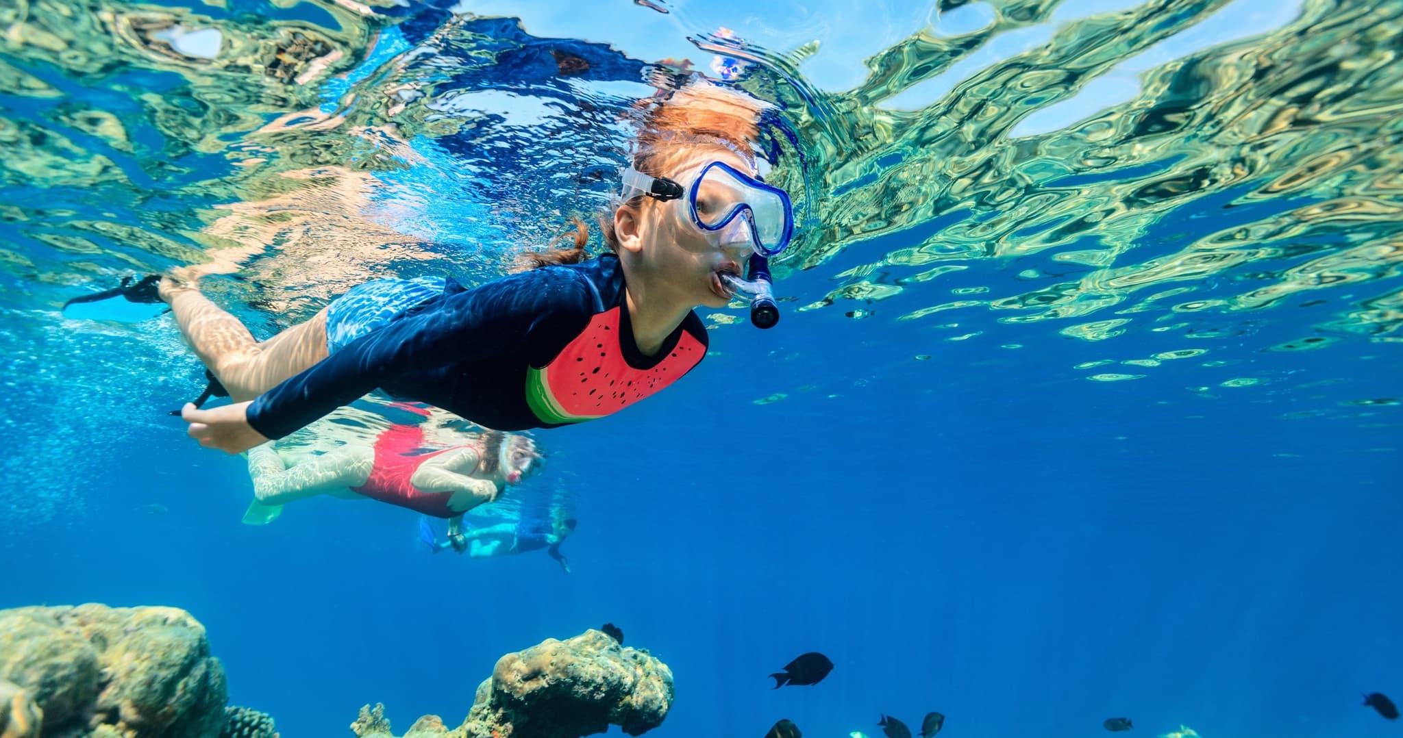 Hanauma Bay Snorkeling Tours / Lessons